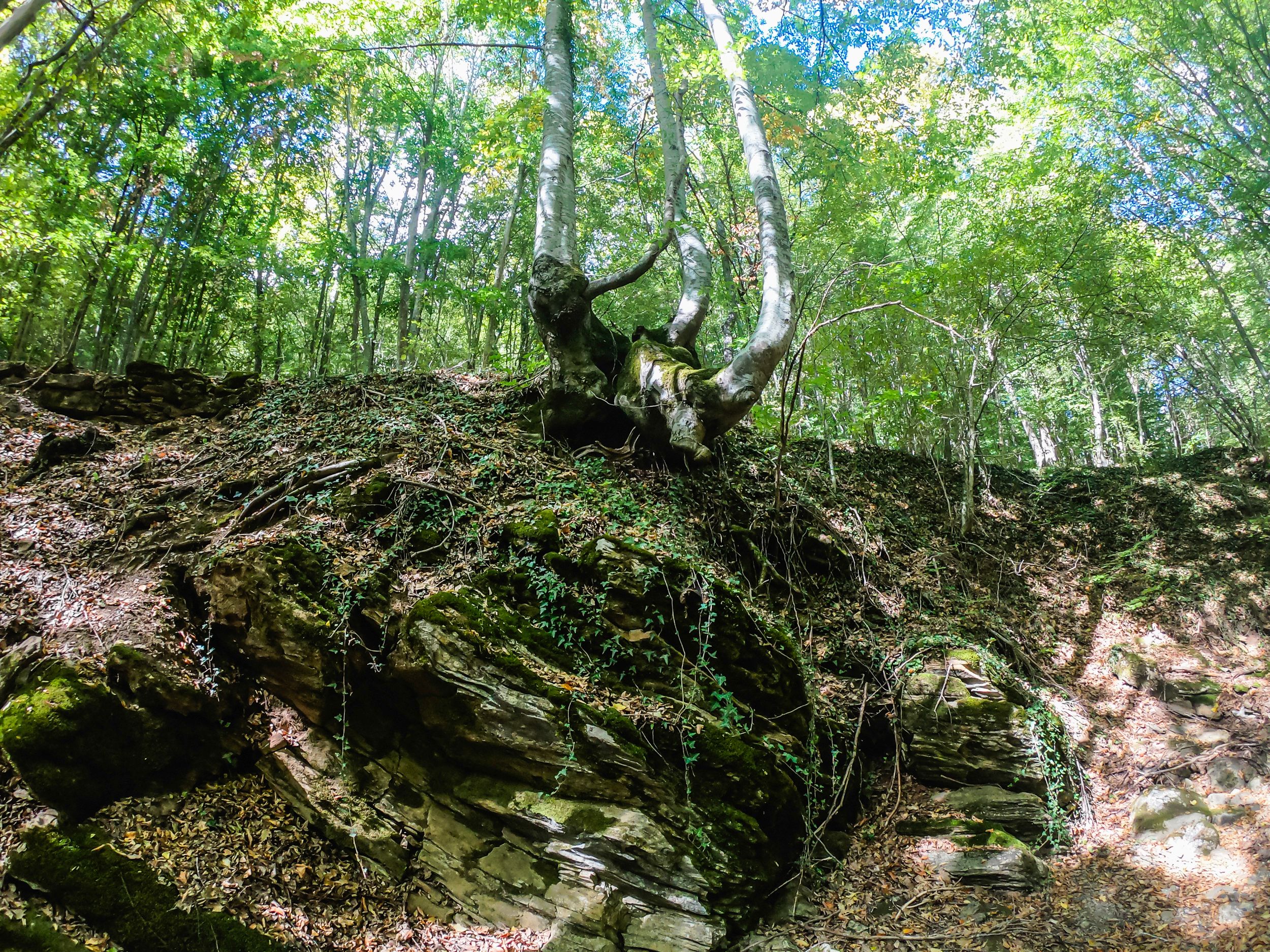 gorska walk (33 of 71).jpg