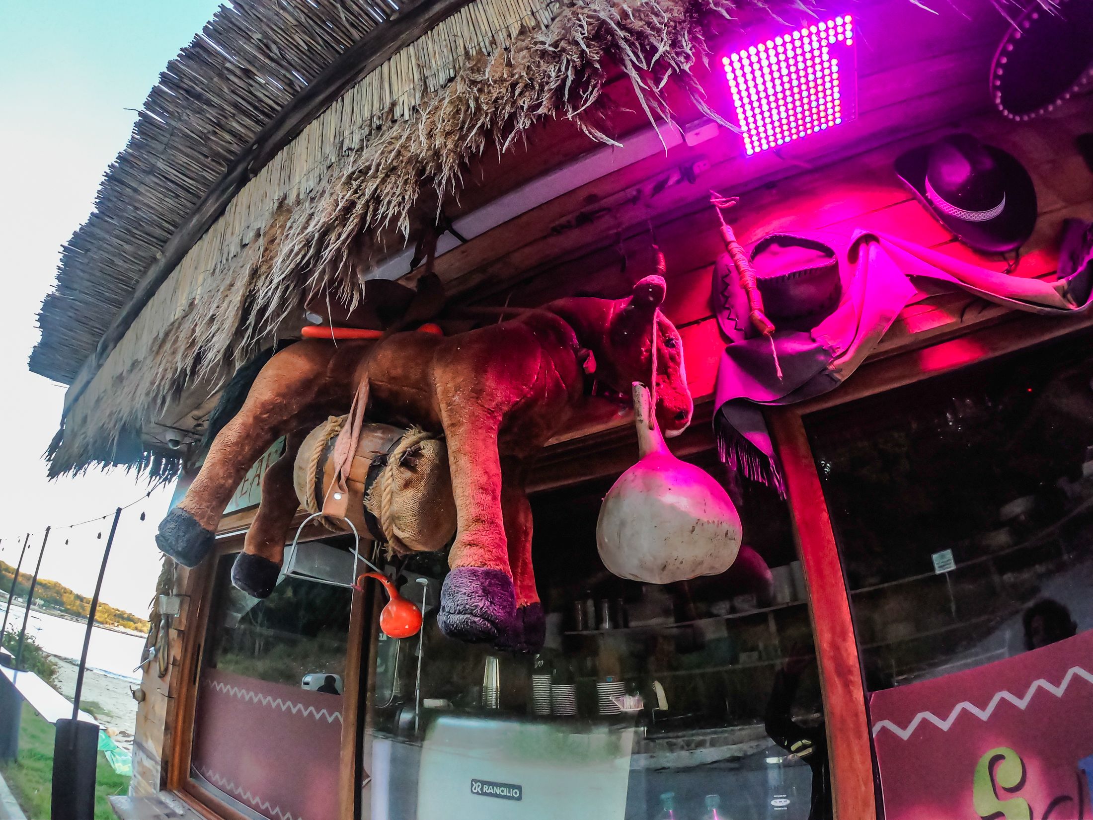 varna (28 of 125).jpg