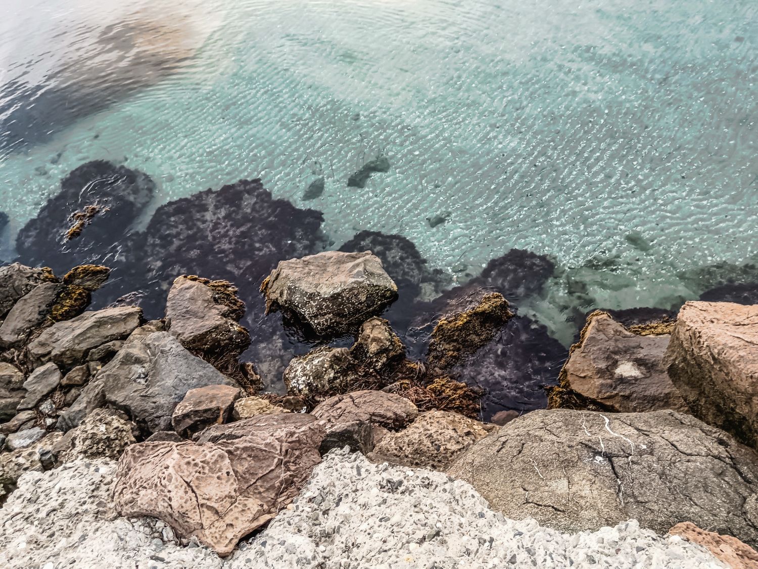 sunset (16 of 30).jpg