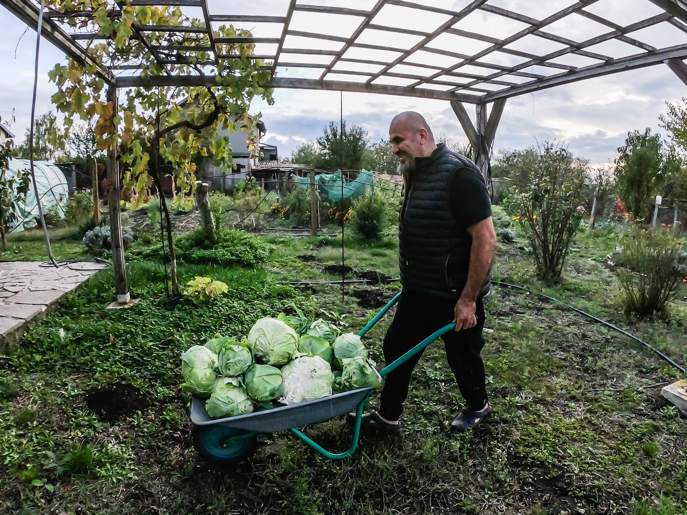 garden (17 of 32).jpg