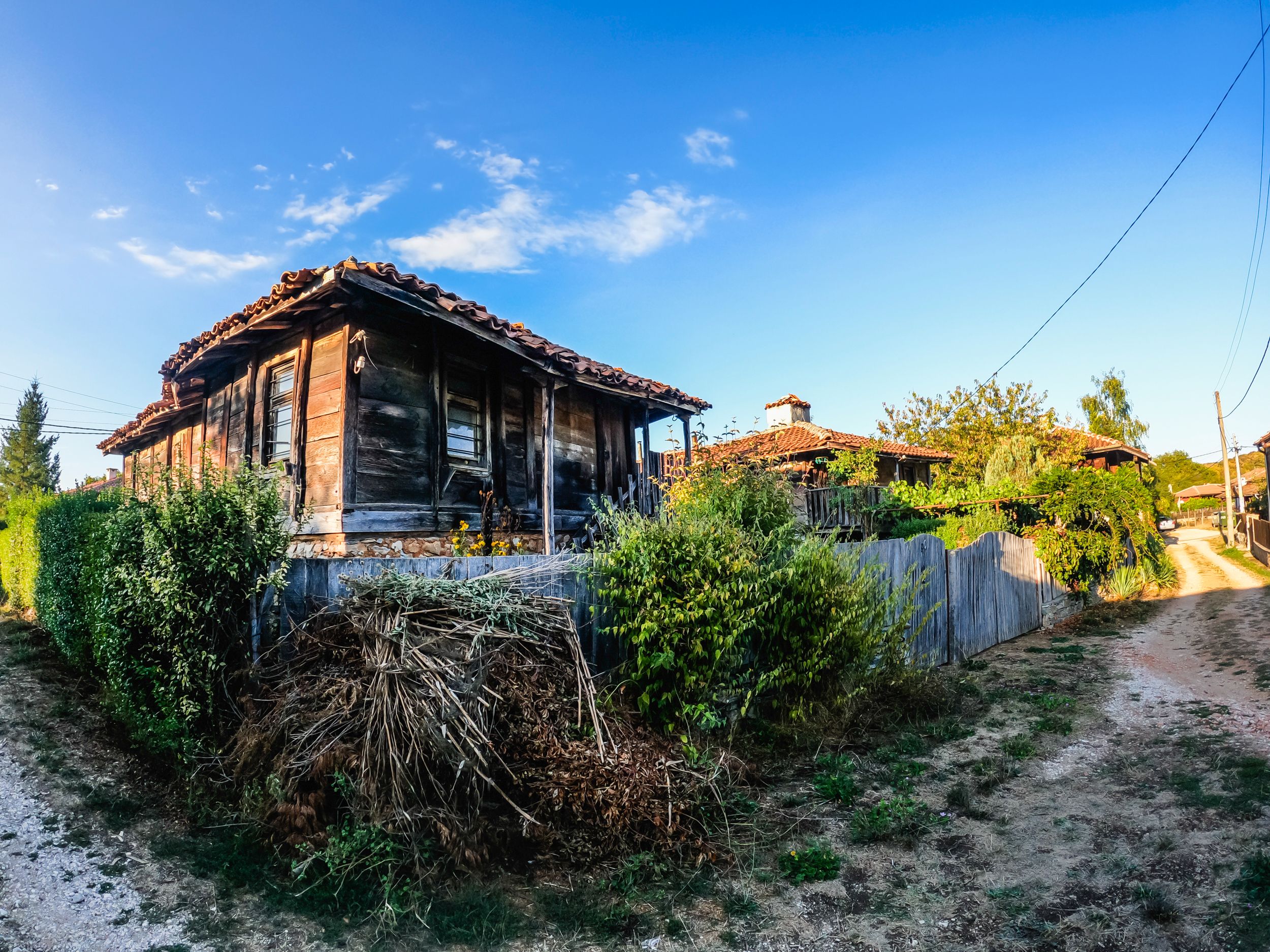 brashlian (24 of 35).jpg