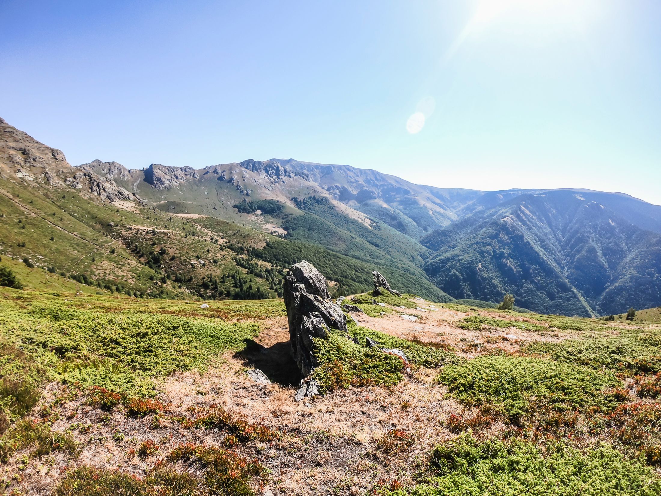 sinanitsa (63 of 184).jpg