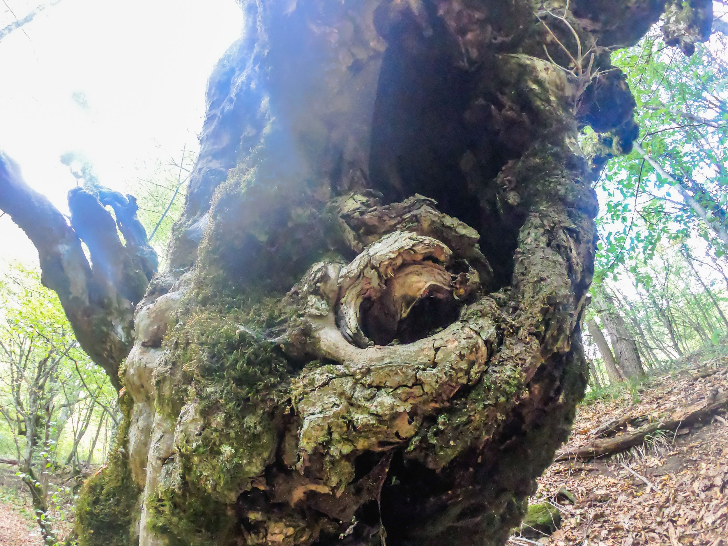 gorska walk (37 of 71).jpg