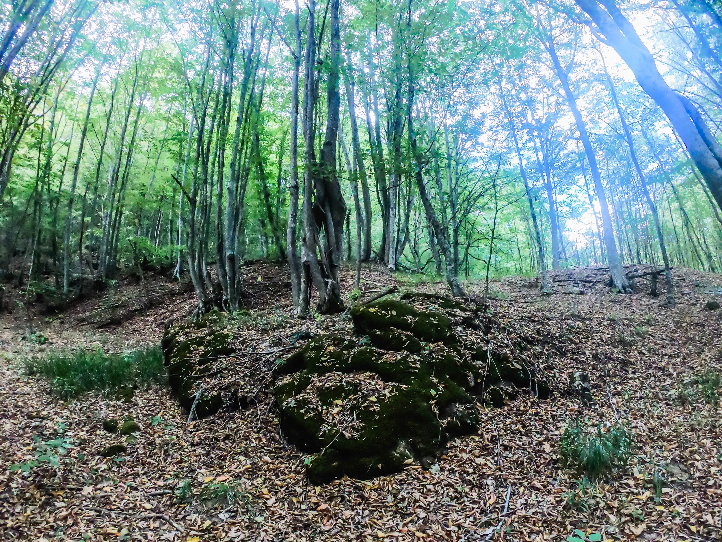 gorska walk (7 of 71).jpg