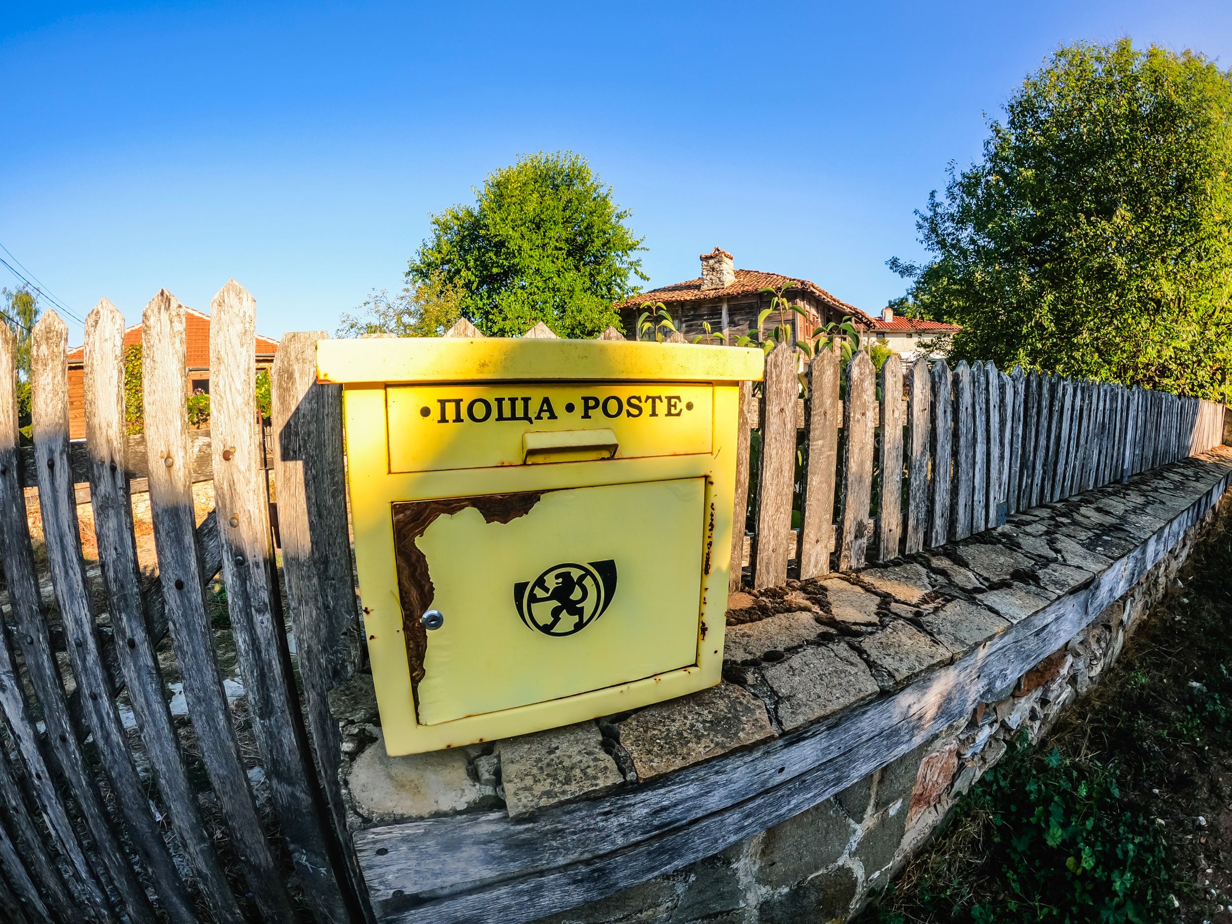 brashlian (19 of 35).jpg