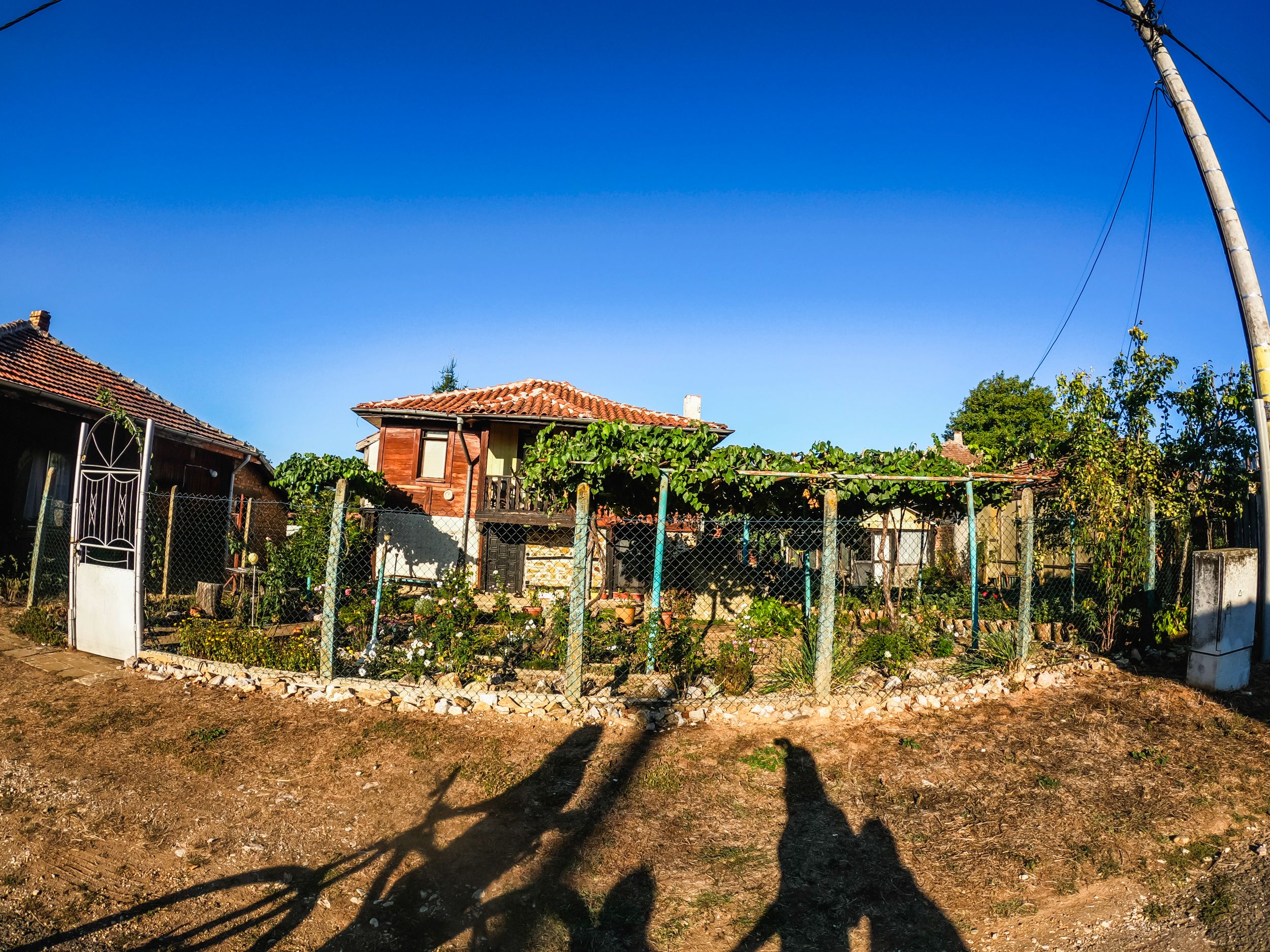 brashlian (12 of 35).jpg