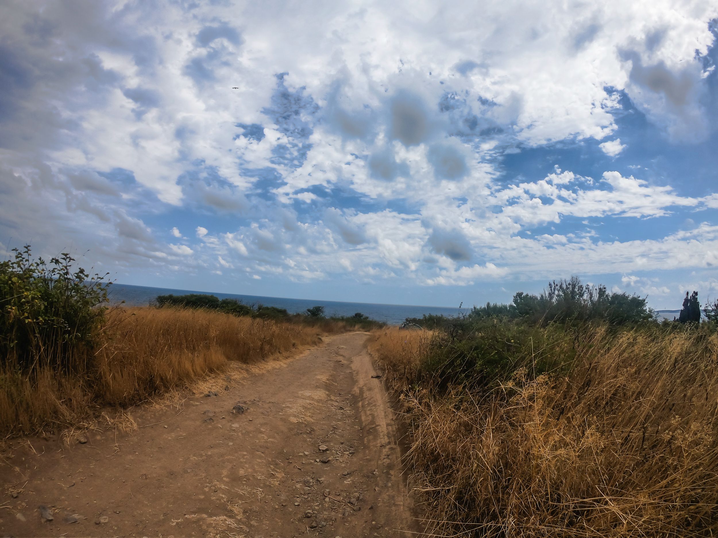 agaalina (74 of 160).jpg