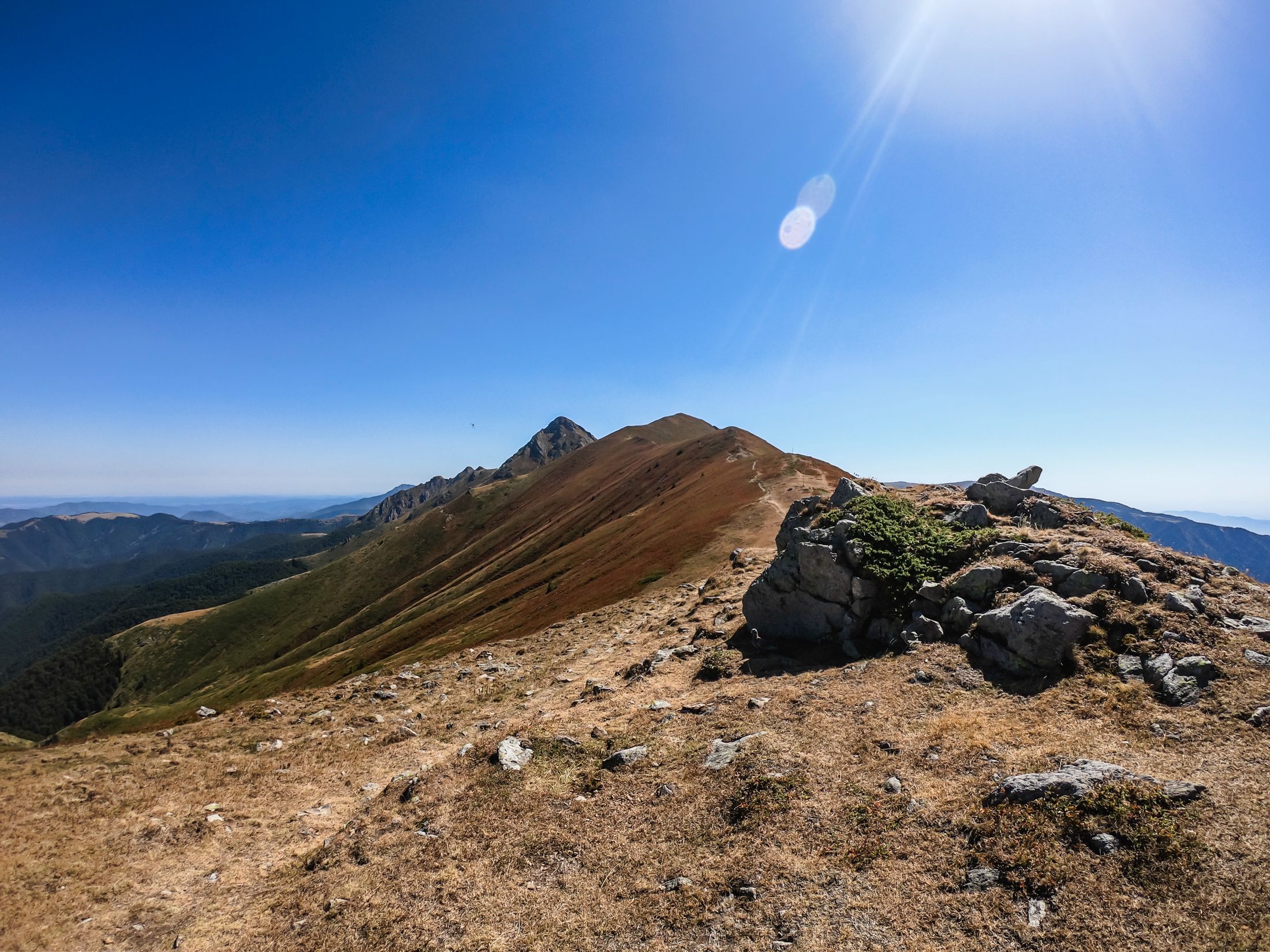 sinanitsa (70 of 184).jpg