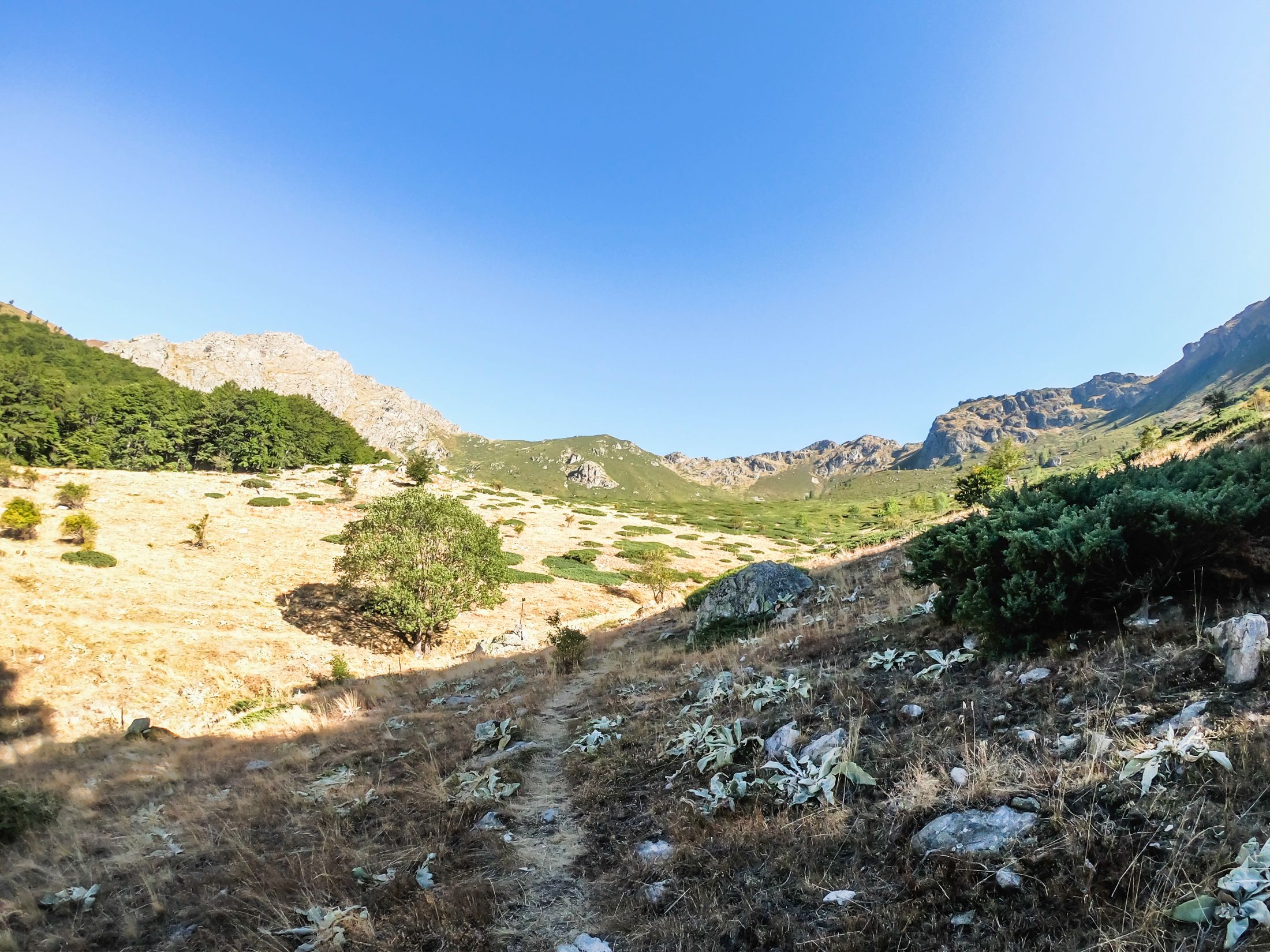 sinanitsa (28 of 184).jpg