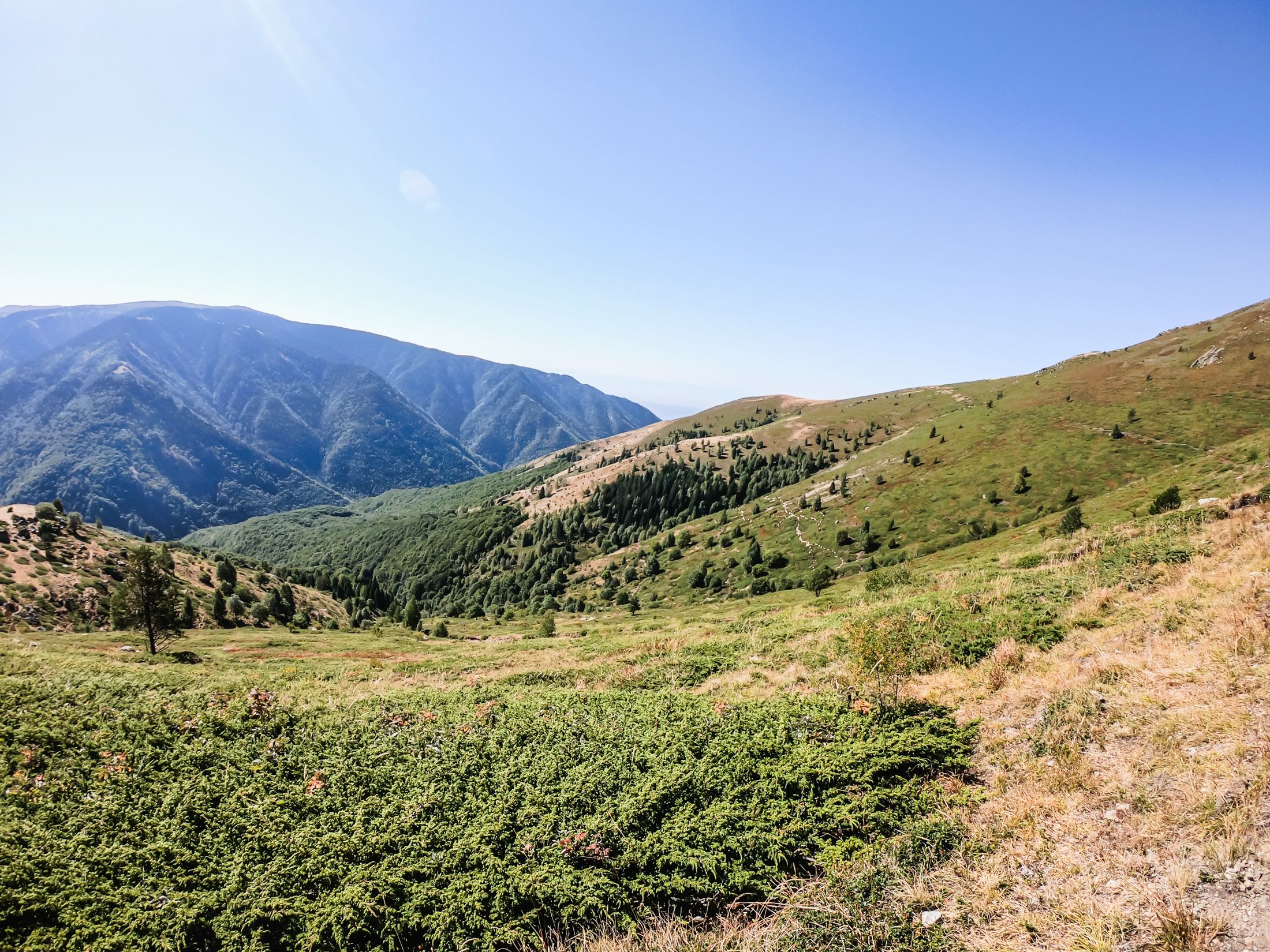 sinanitsa (47 of 184).jpg