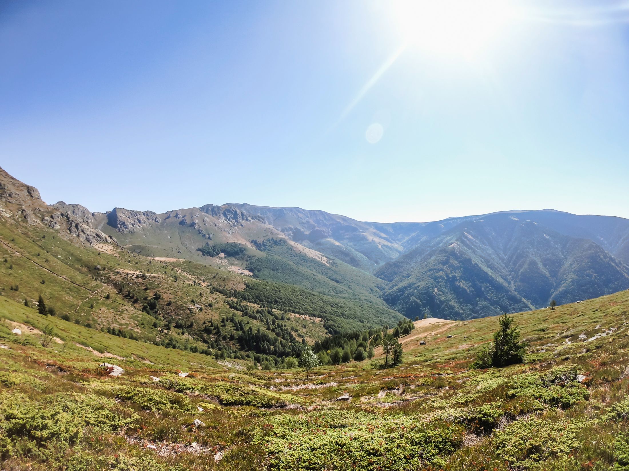 sinanitsa (62 of 184).jpg