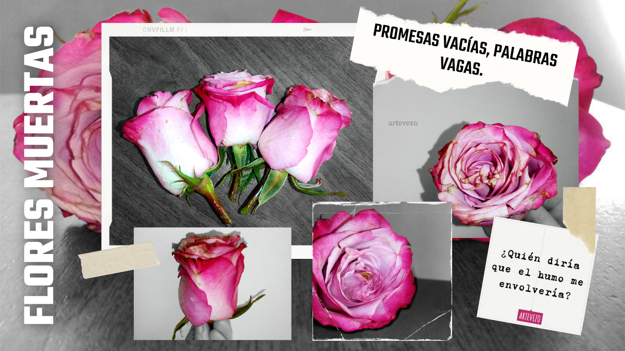 Flores Muertas 1.png