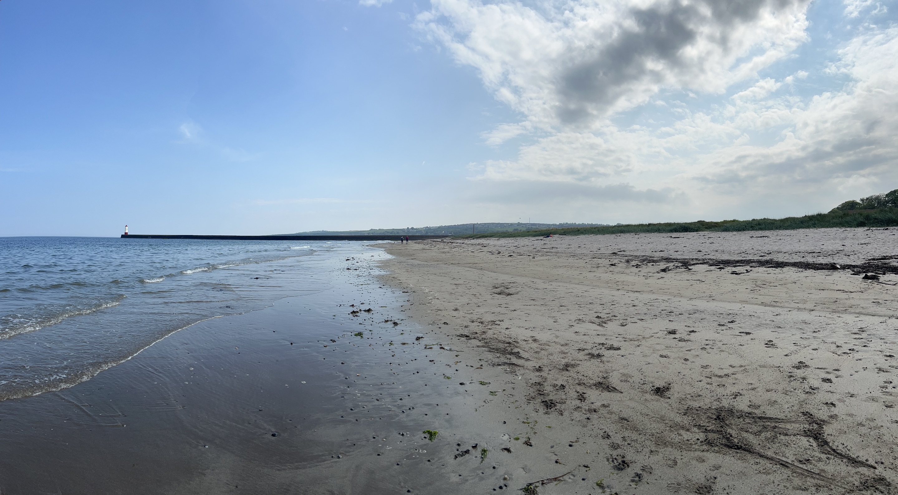 IMG_7719.jpeg