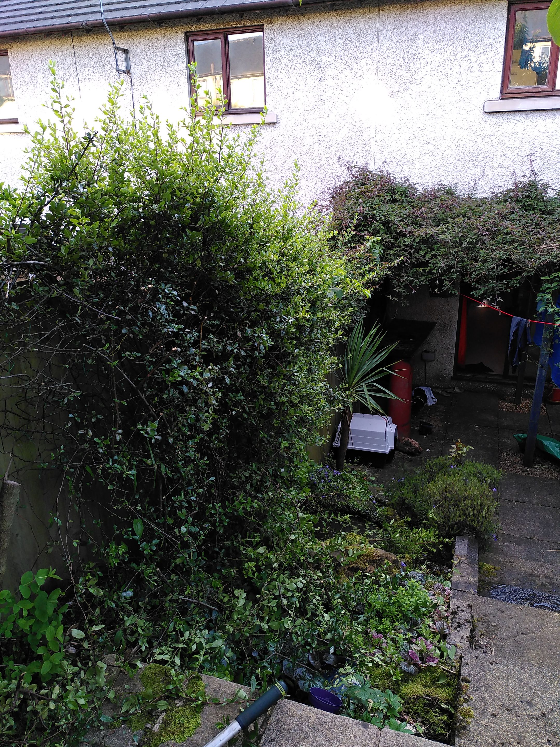 IMG_20200712_202844.jpg