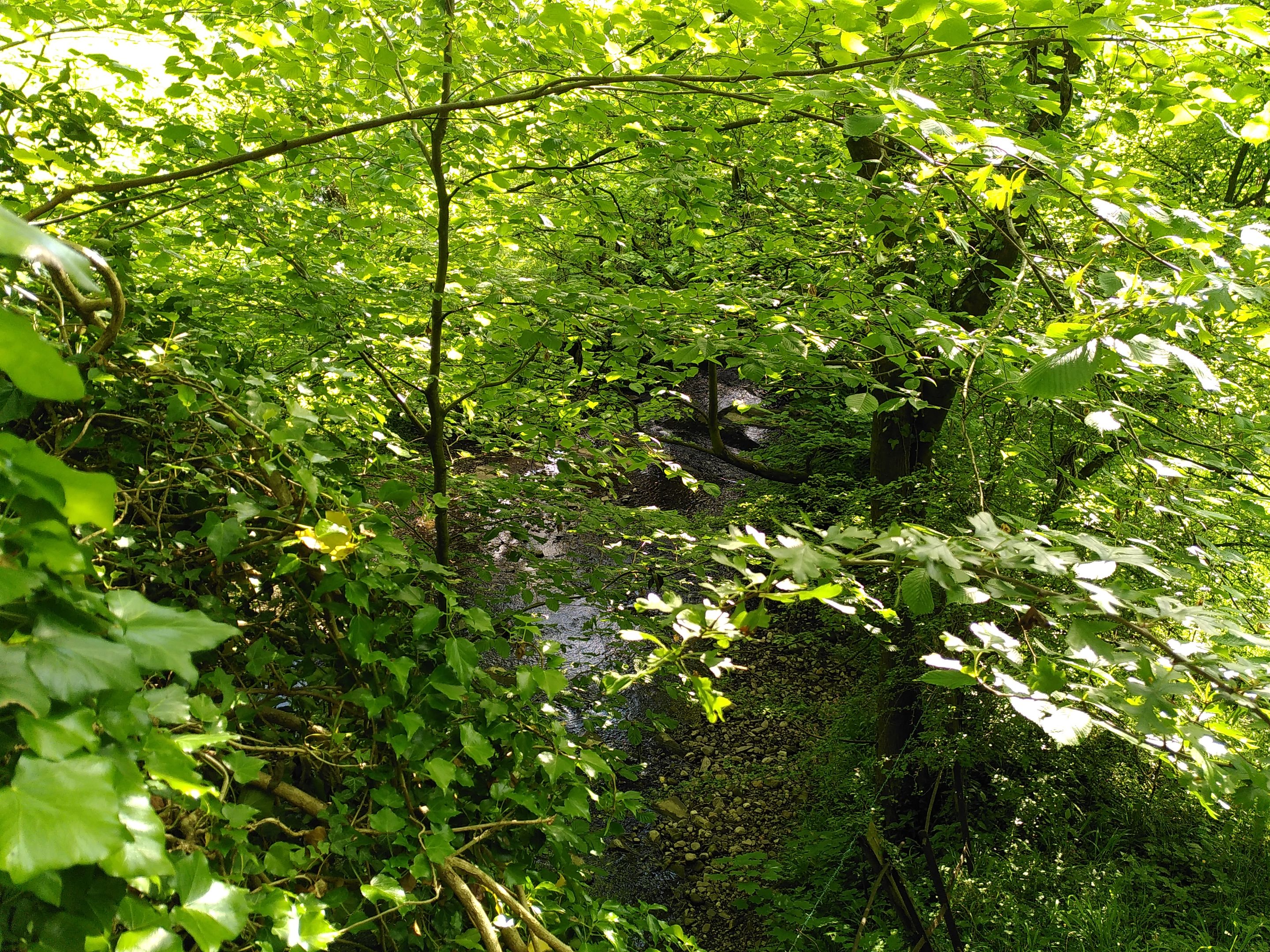 IMG_20220604_174231.jpg