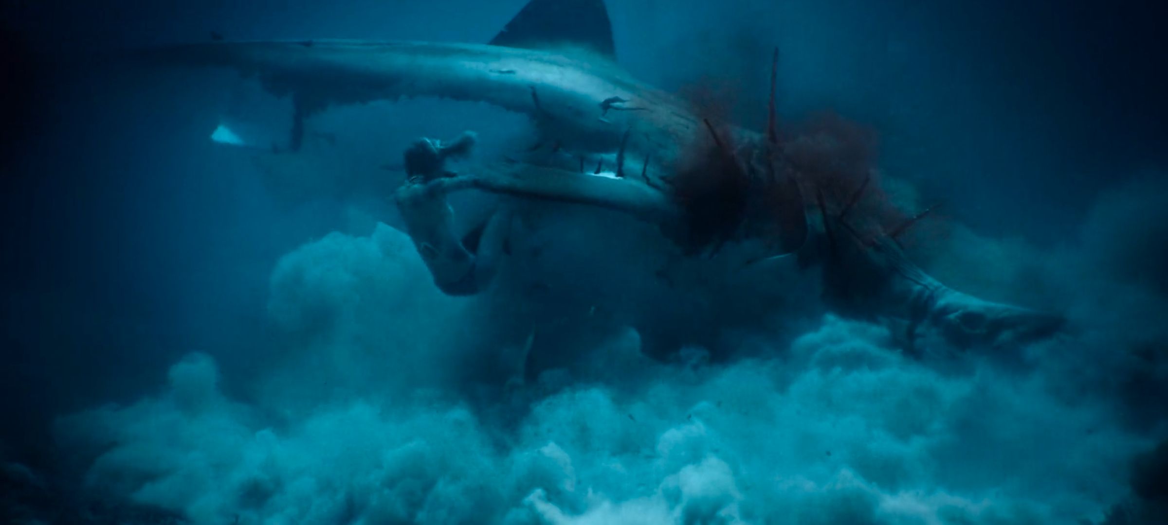 SHARK IS DEAD.jpg
