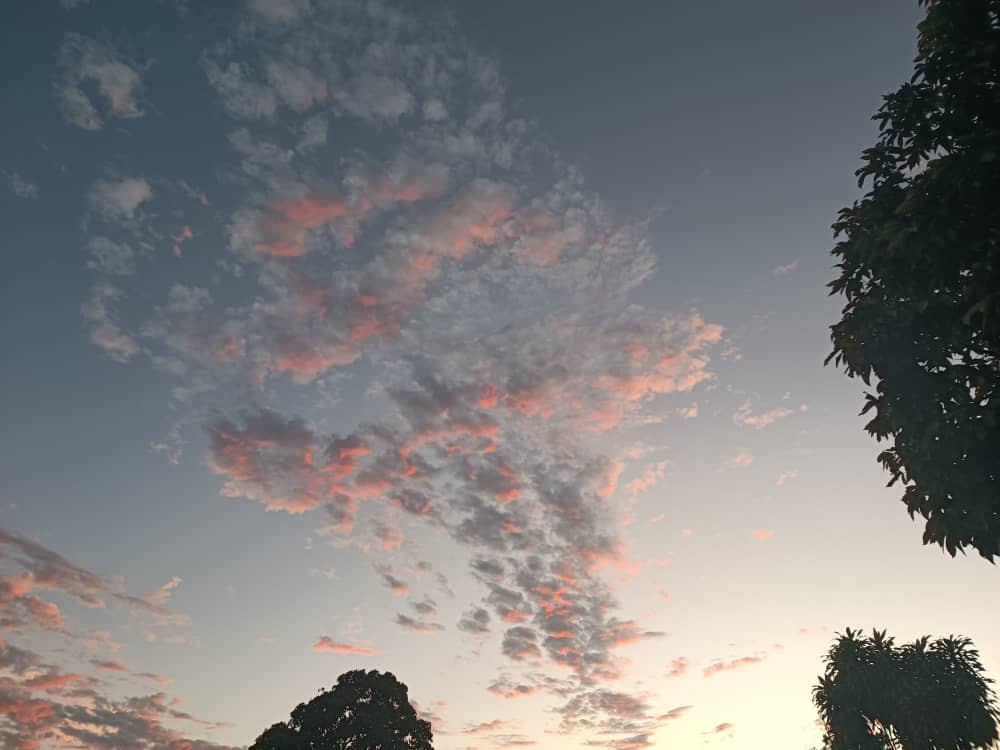266d0a78-188d-4918-a4de-76d3c6c268ce.jpg
