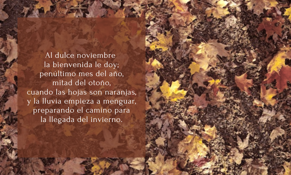 Hive Banners 2025 (82).png