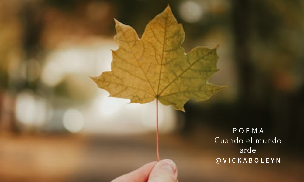 Hive Banners 2025 (83).png