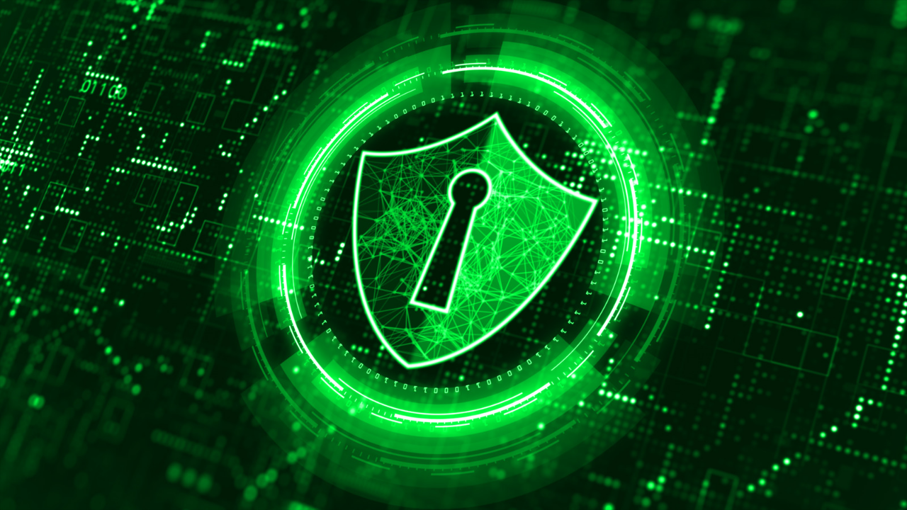 The Realities and Ramifications of Data Privacy in the Modern Era_20240422_213225_0001.png