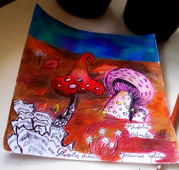 fungi 5.png
