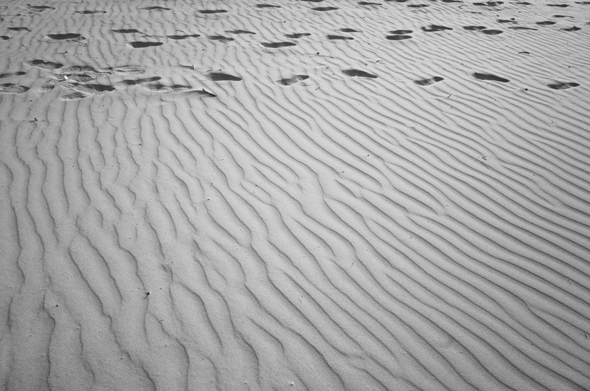 In_The_Dunes_2022_by_Victor_Bezrukov-1.jpg