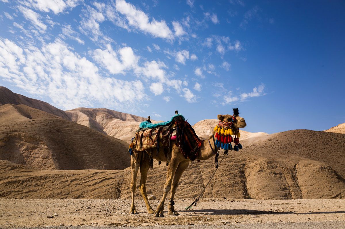 Dead_Sea_trip_Checkpoints_2022_by_Victor_Bezrukov-1.jpg