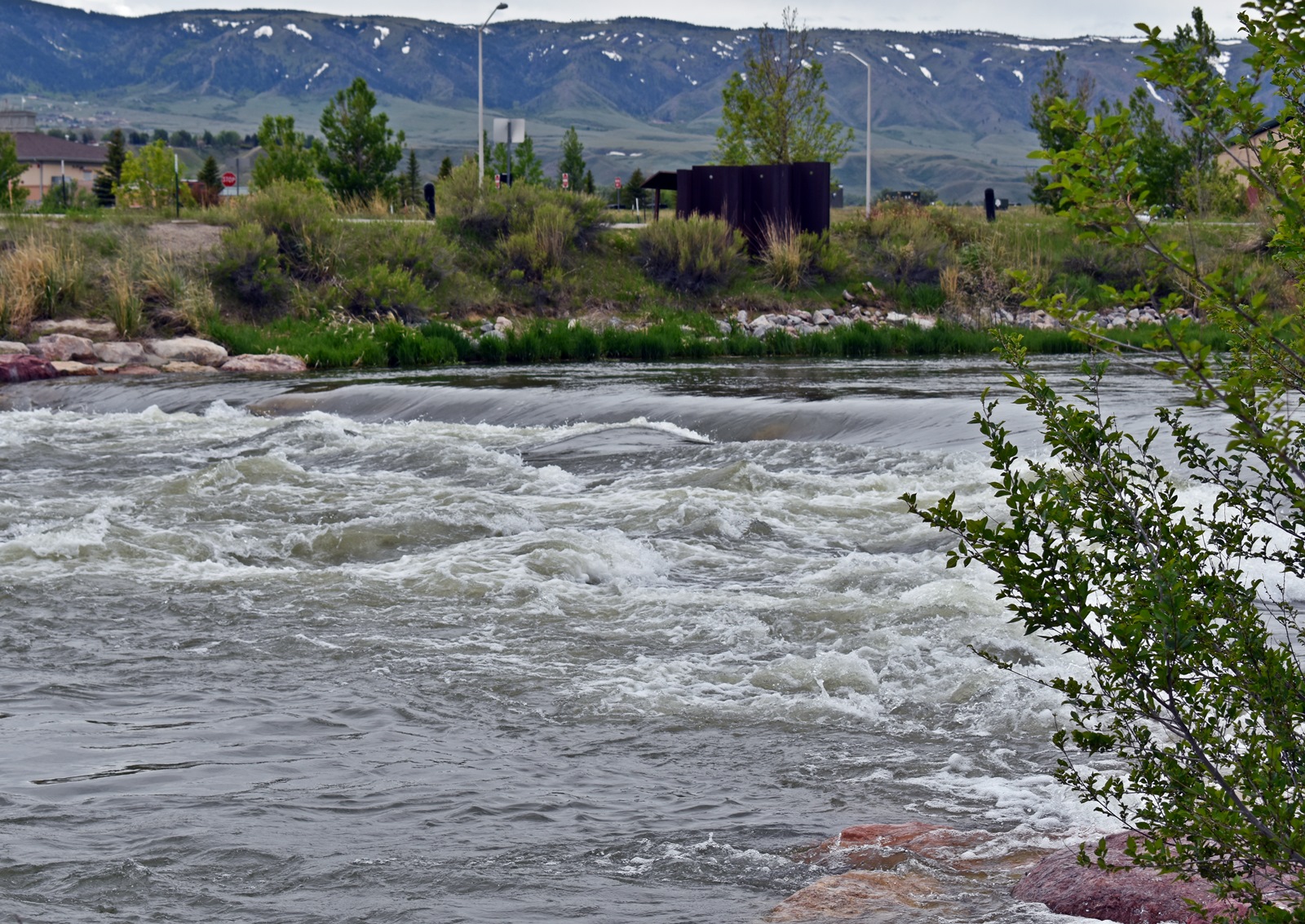 DSC_1933_1600.JPG