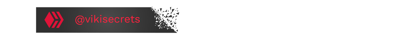 vikisecrets-hive-tag-1.png