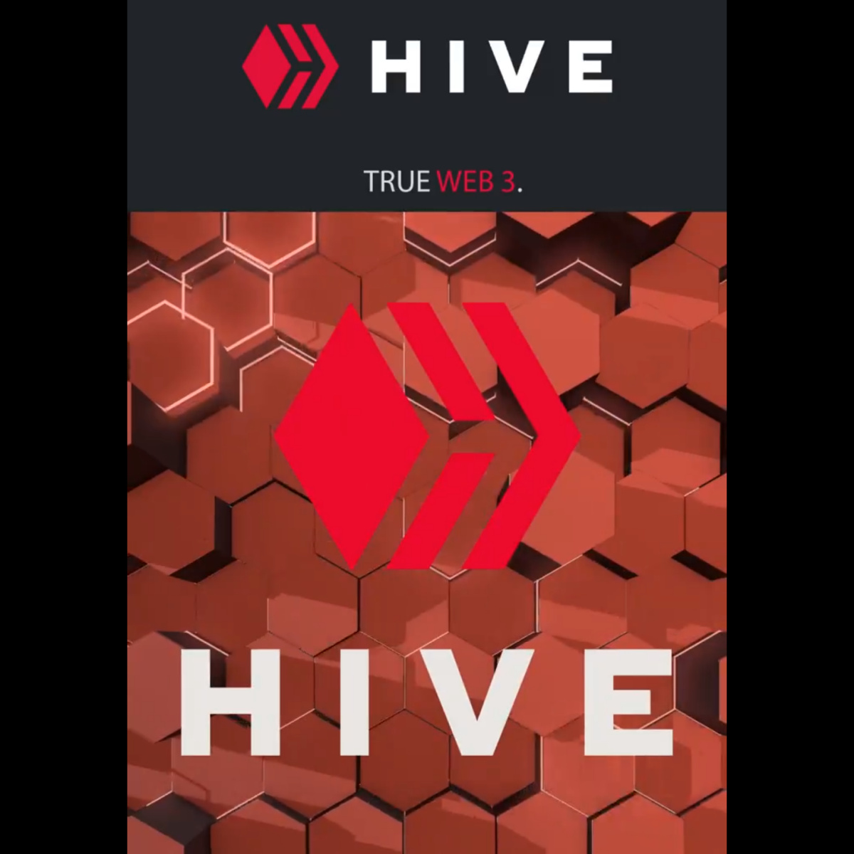 hive-shorts-1.jpg