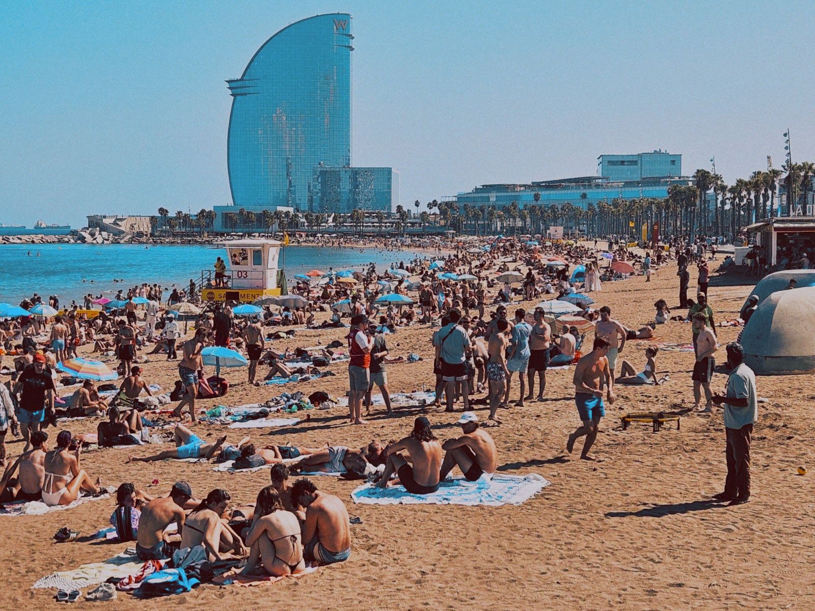 20250726_164206-2.jpg