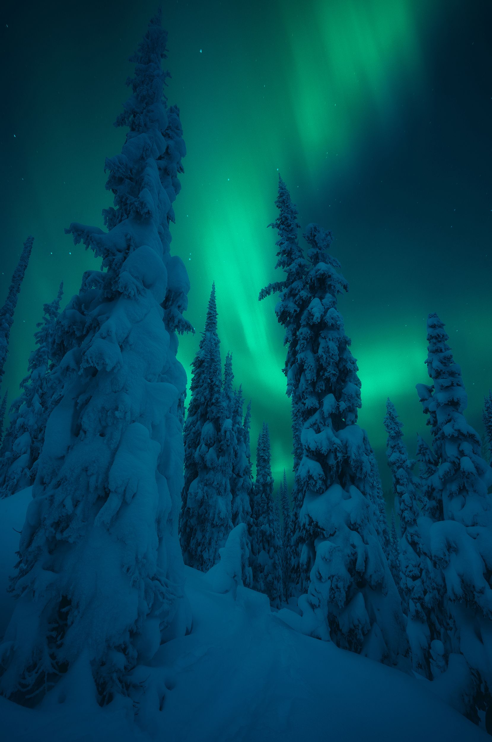 Arctic_Dreams_WEB.jpg