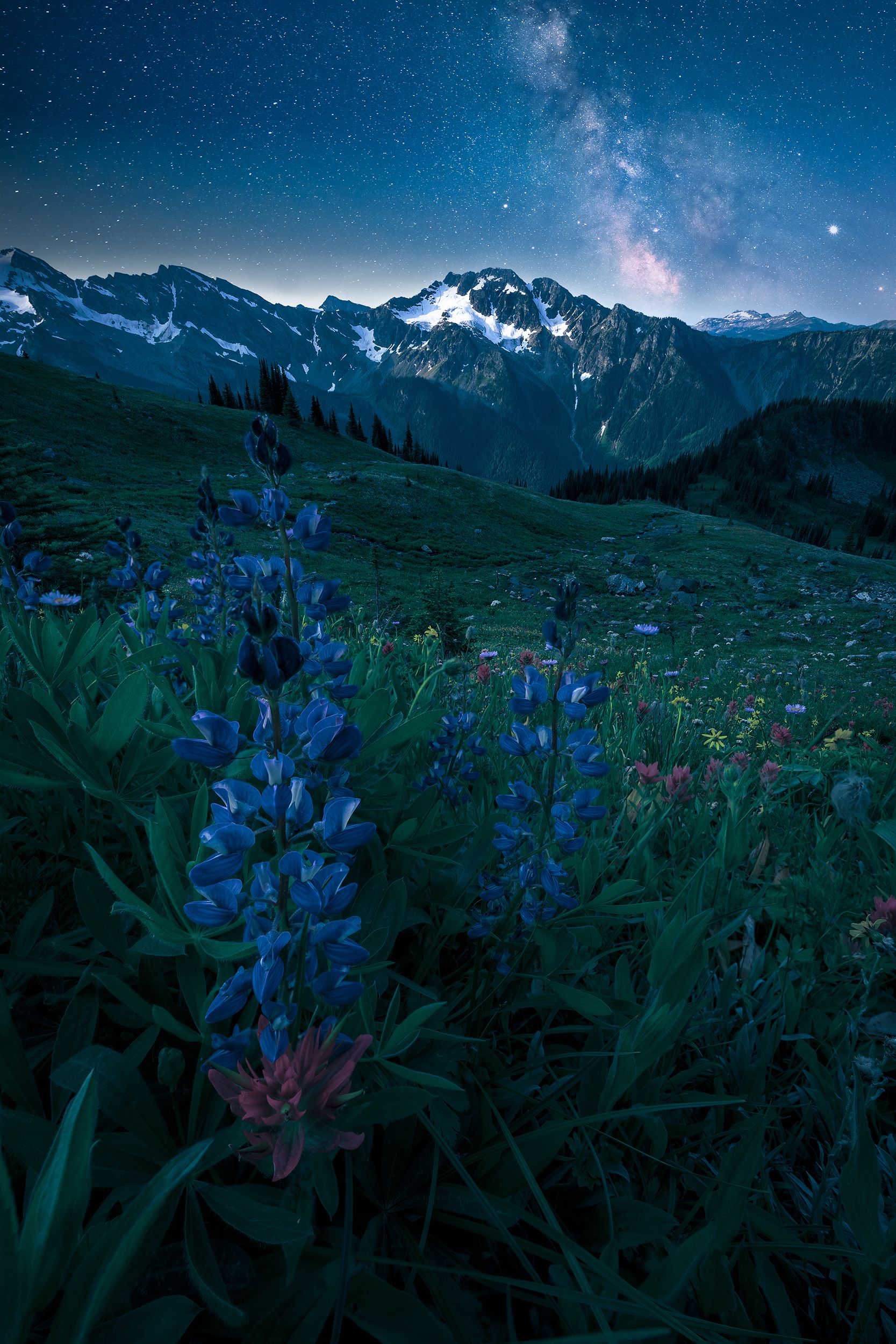 Alpine_Galaxies_WEB.jpg
