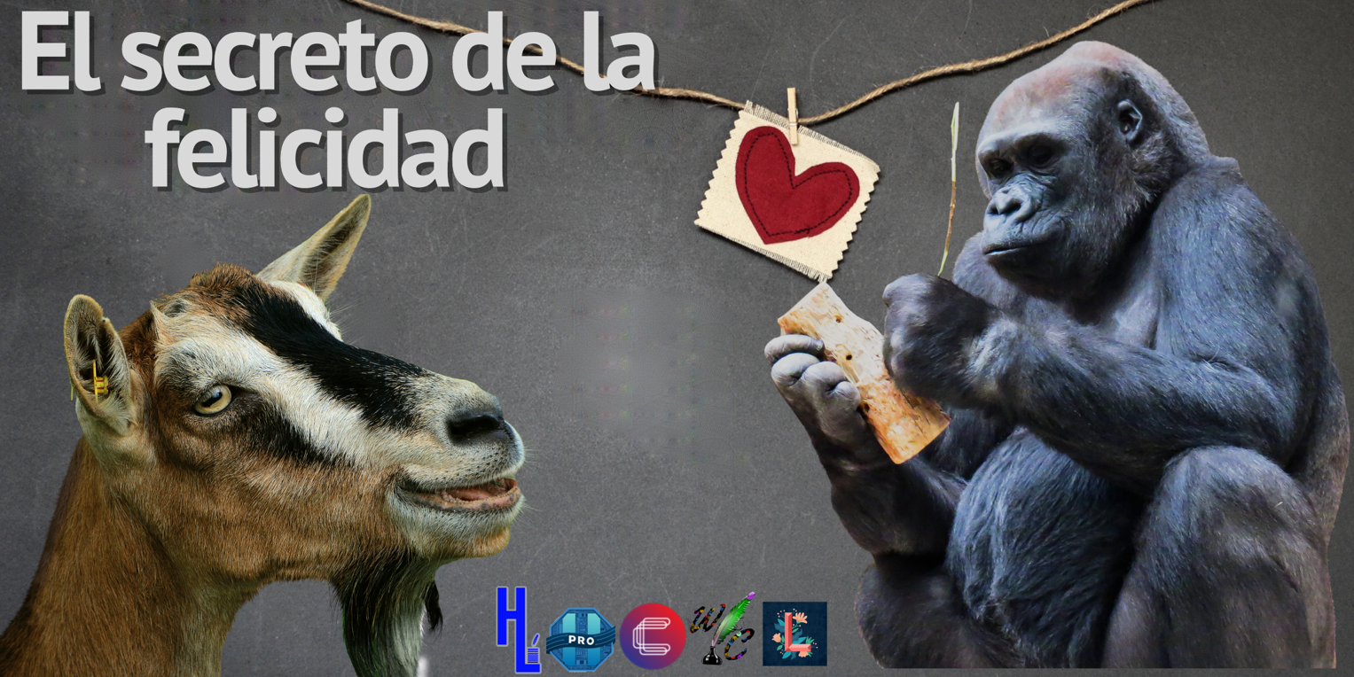 Imagen22.png