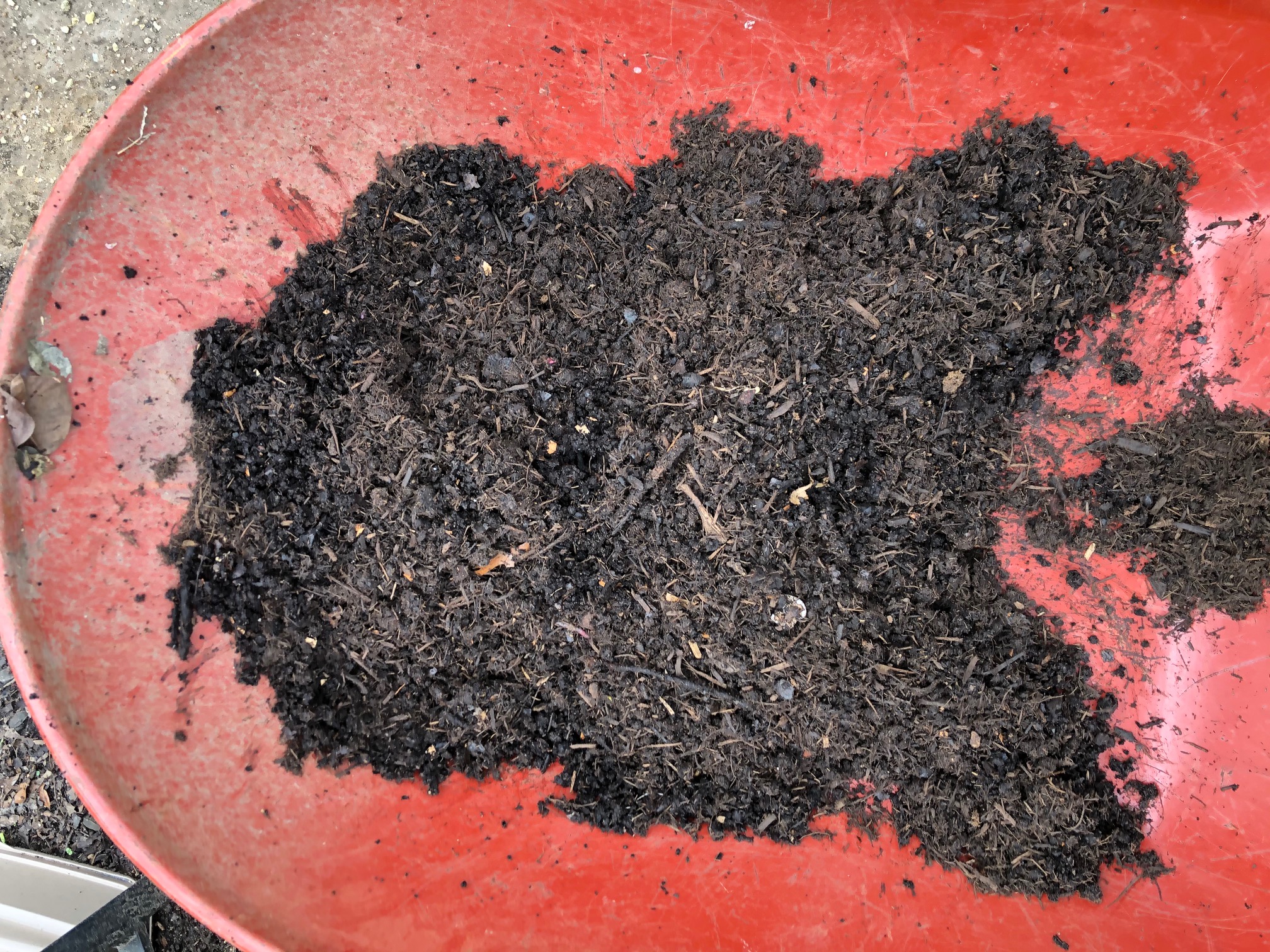 Compost.jpg
