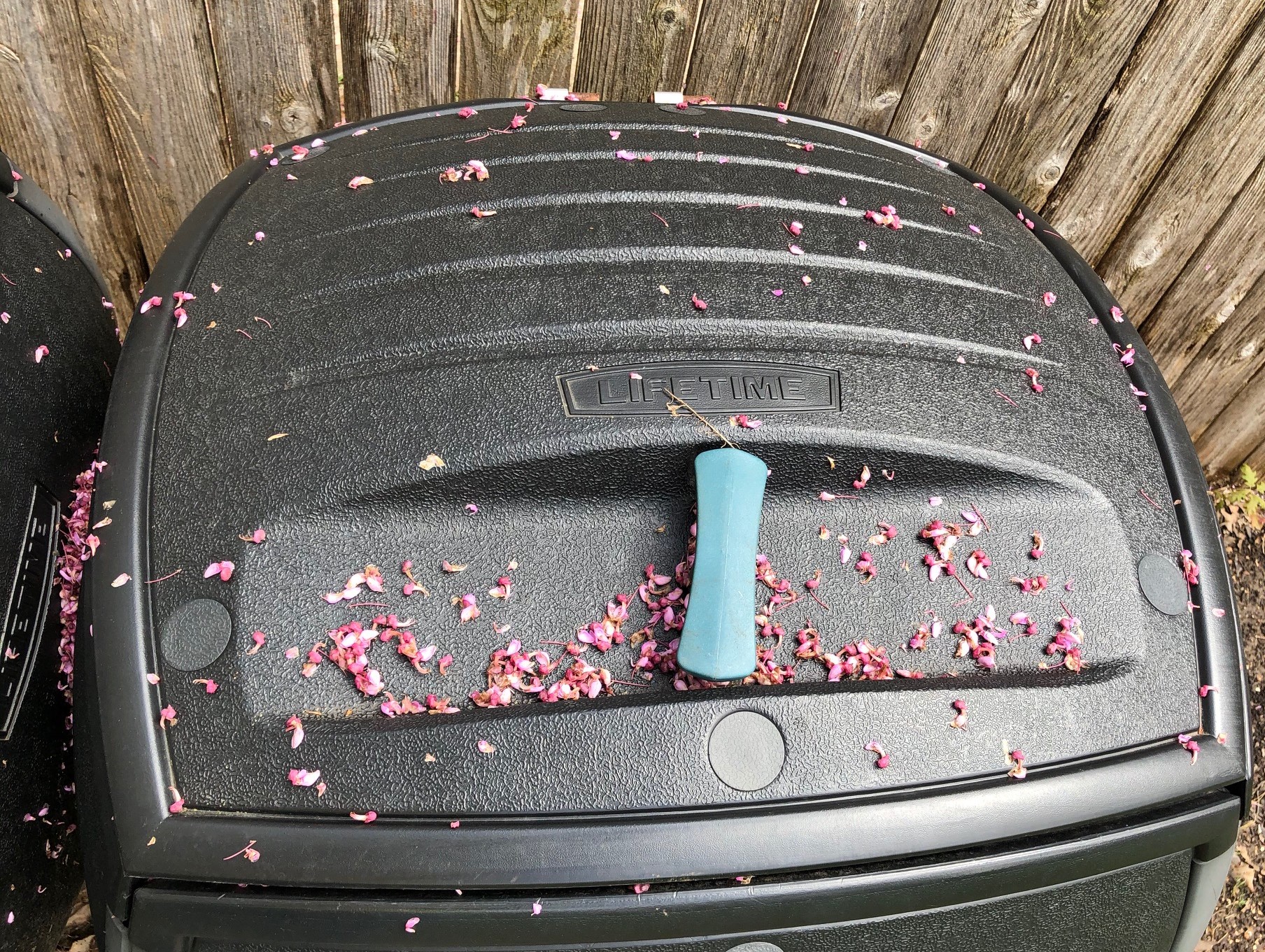 CompostBin.jpg