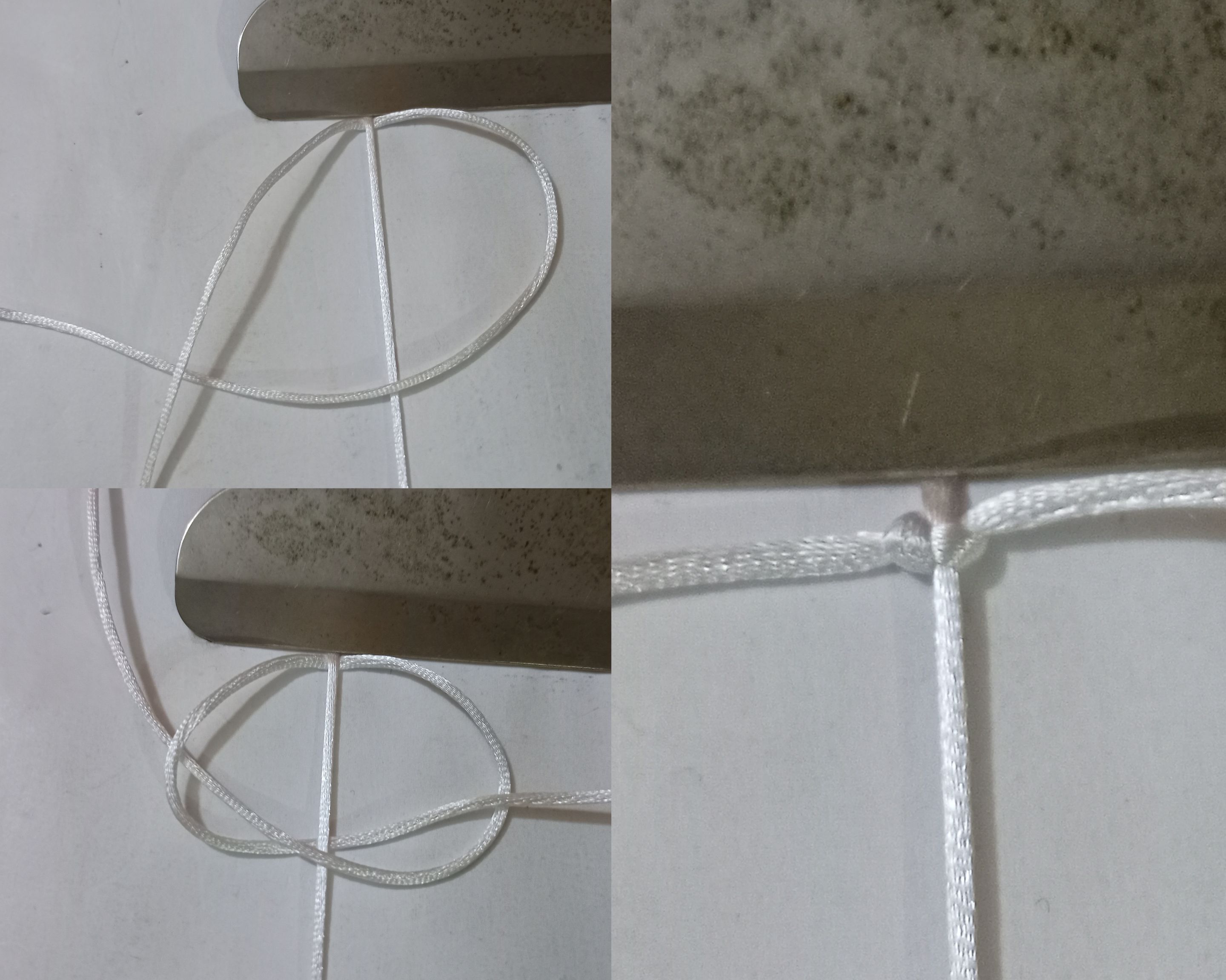1000117318.jpg