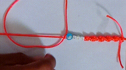 lv_0_20240126182755.gif