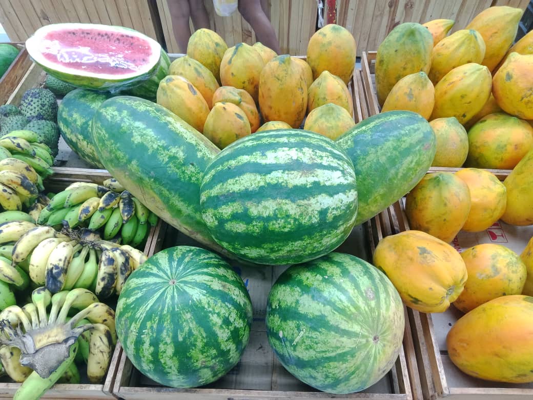 vegetales (5).jpeg