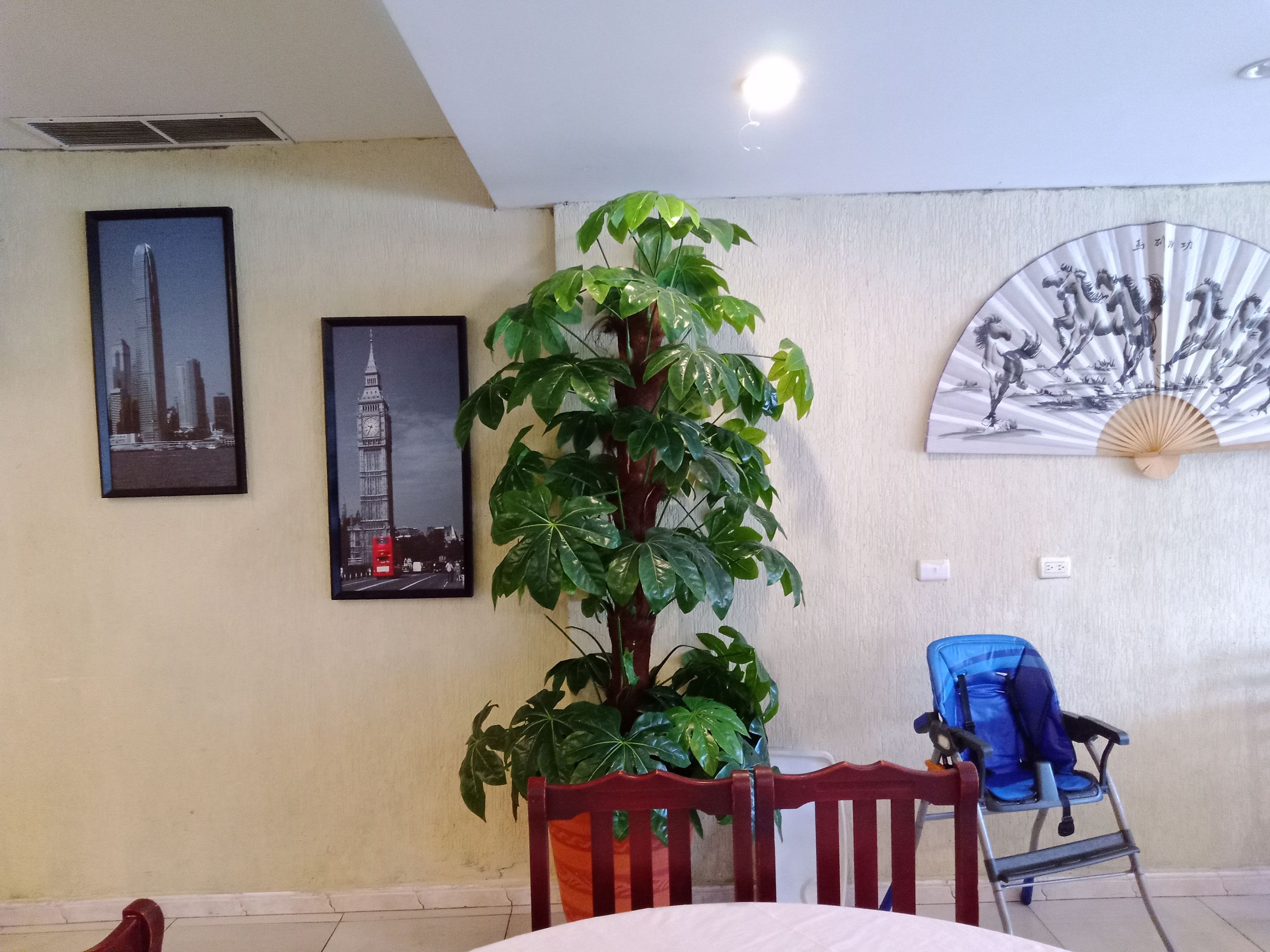 IMG_20230410_114933_199.jpg