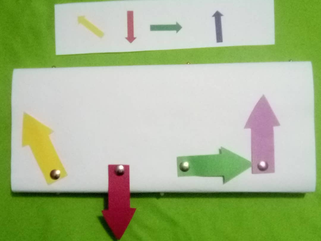 lateralidad (11).jpeg
