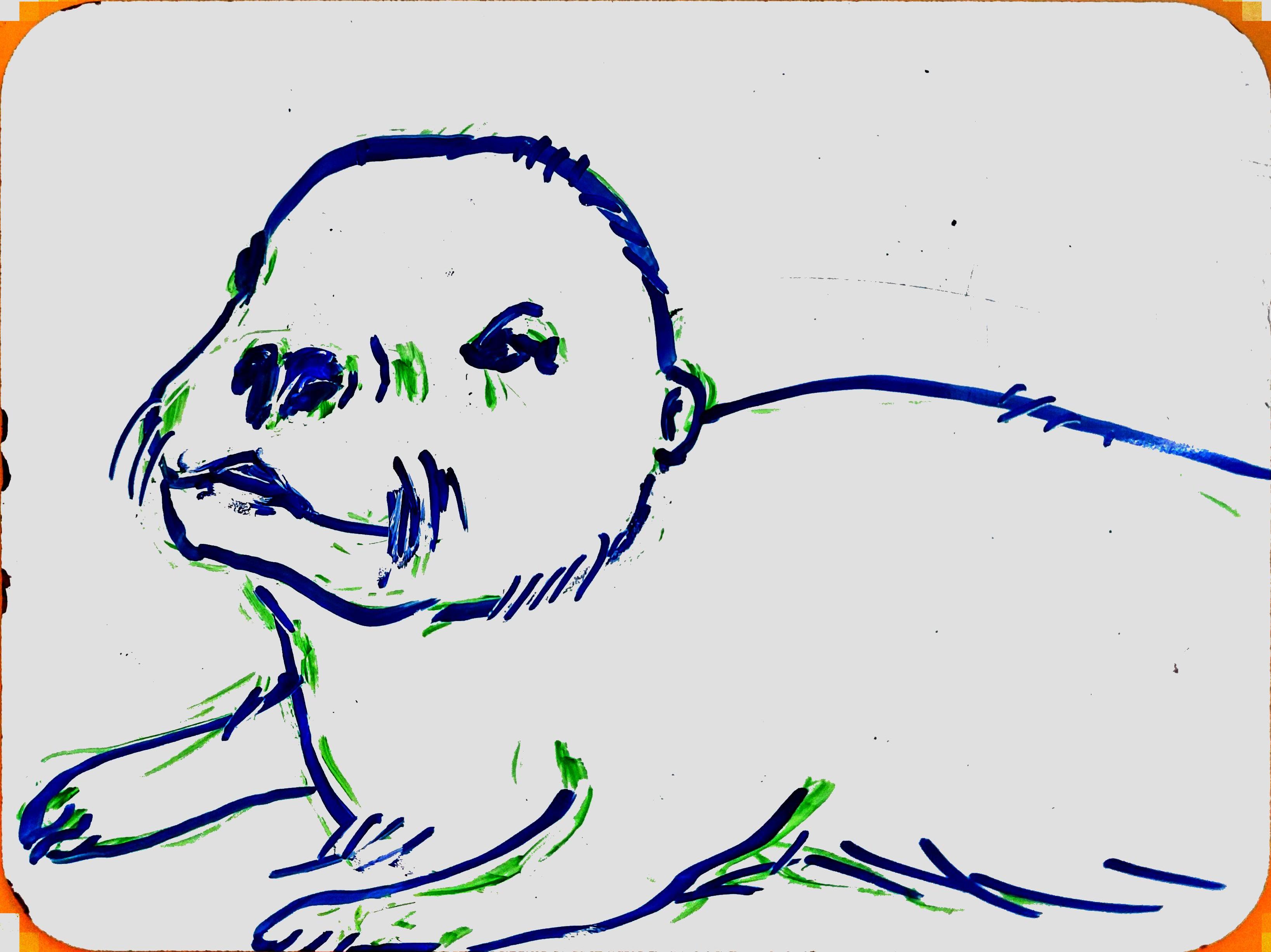 baby-otter.jpg