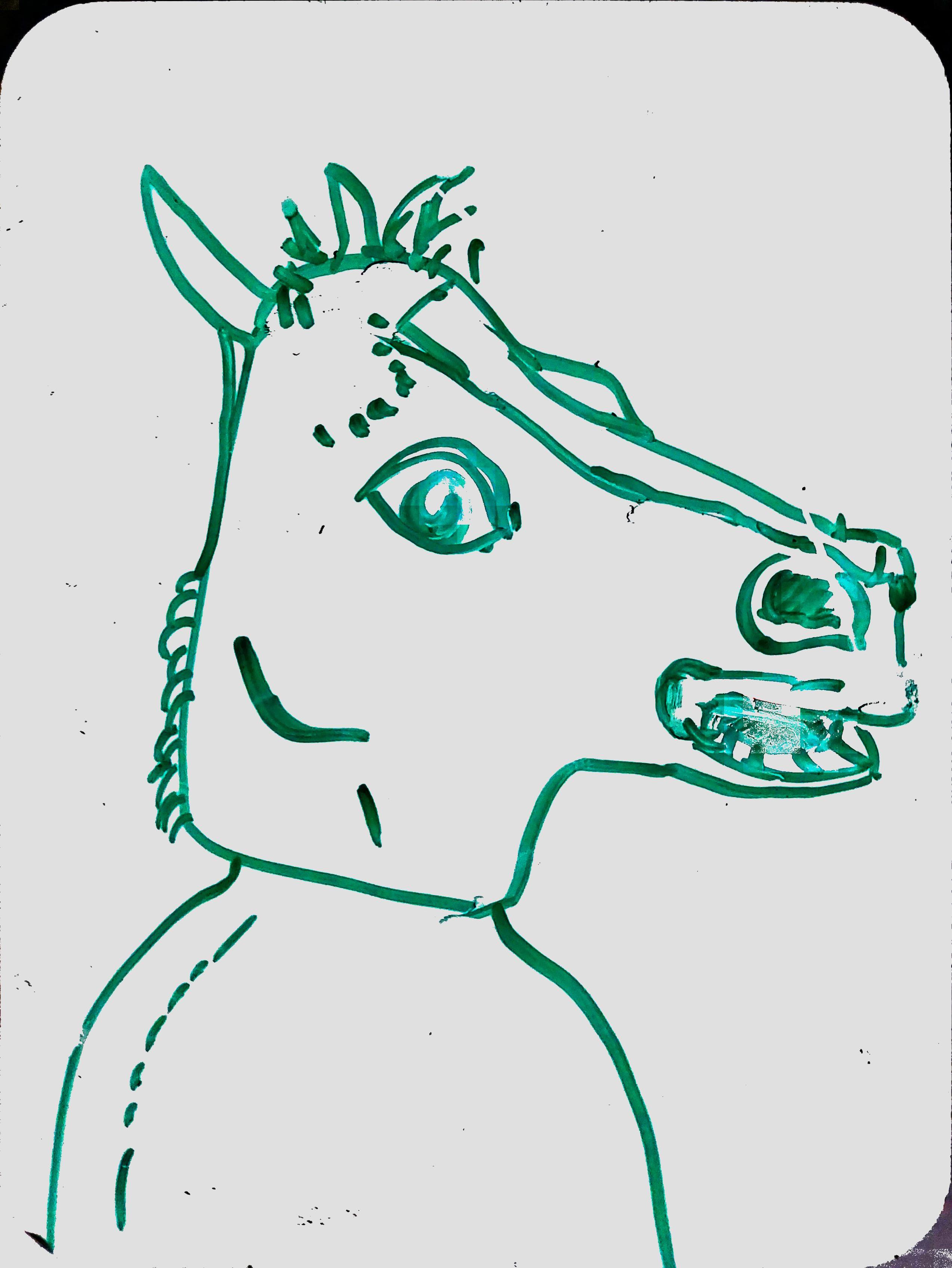 horse-head.jpg