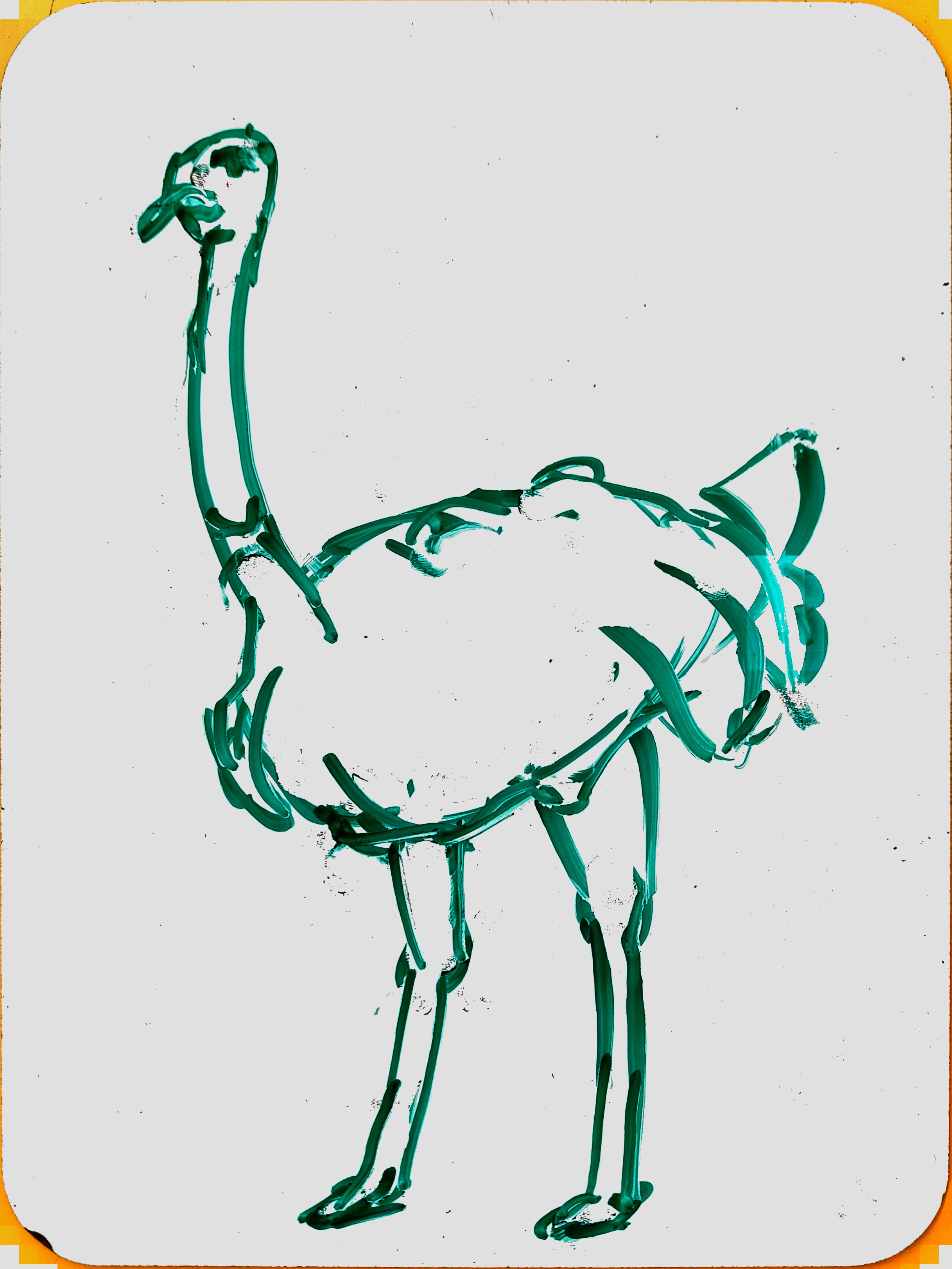 small-ostrich.jpg