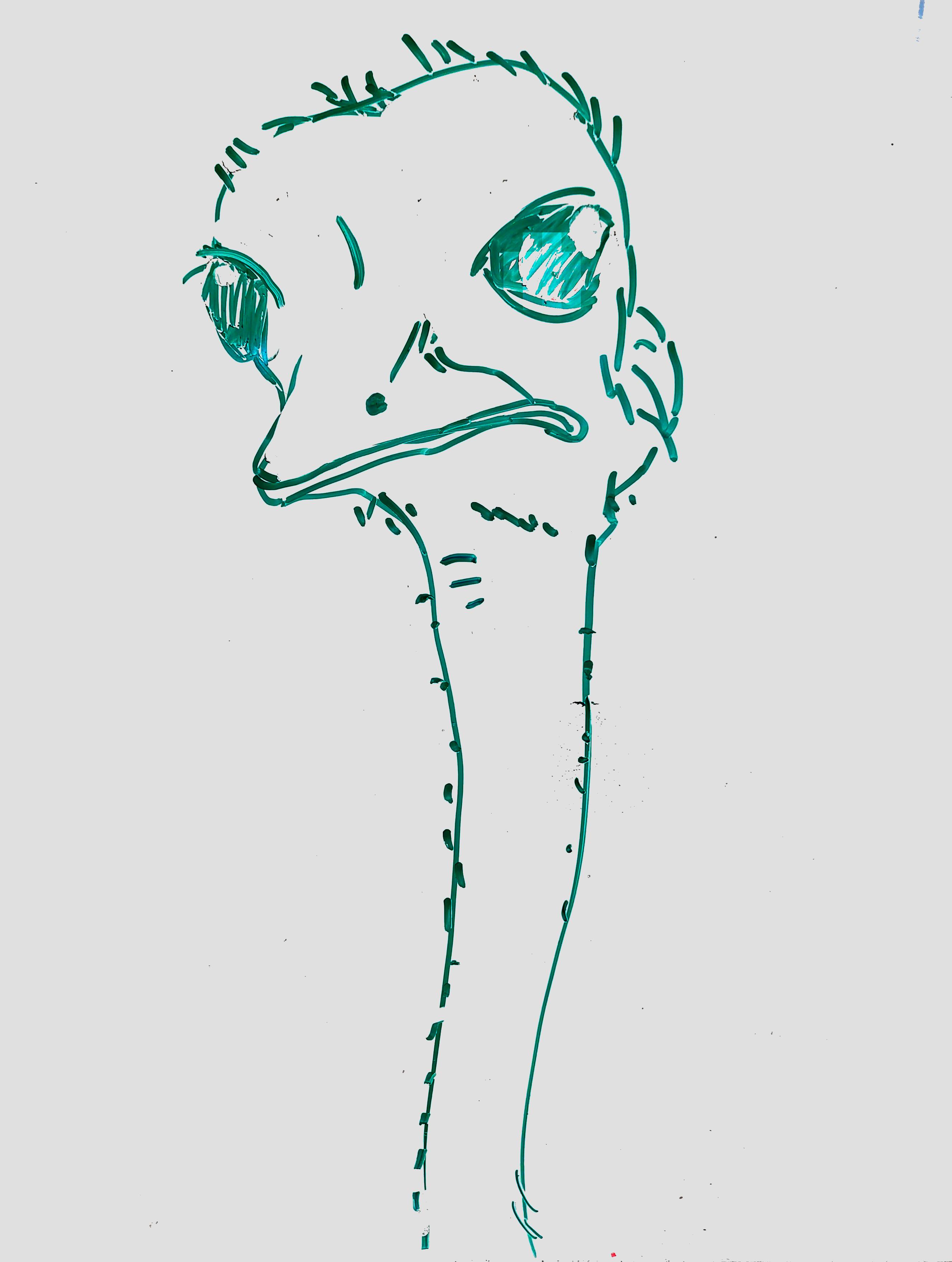 giant-ostrich.jpg