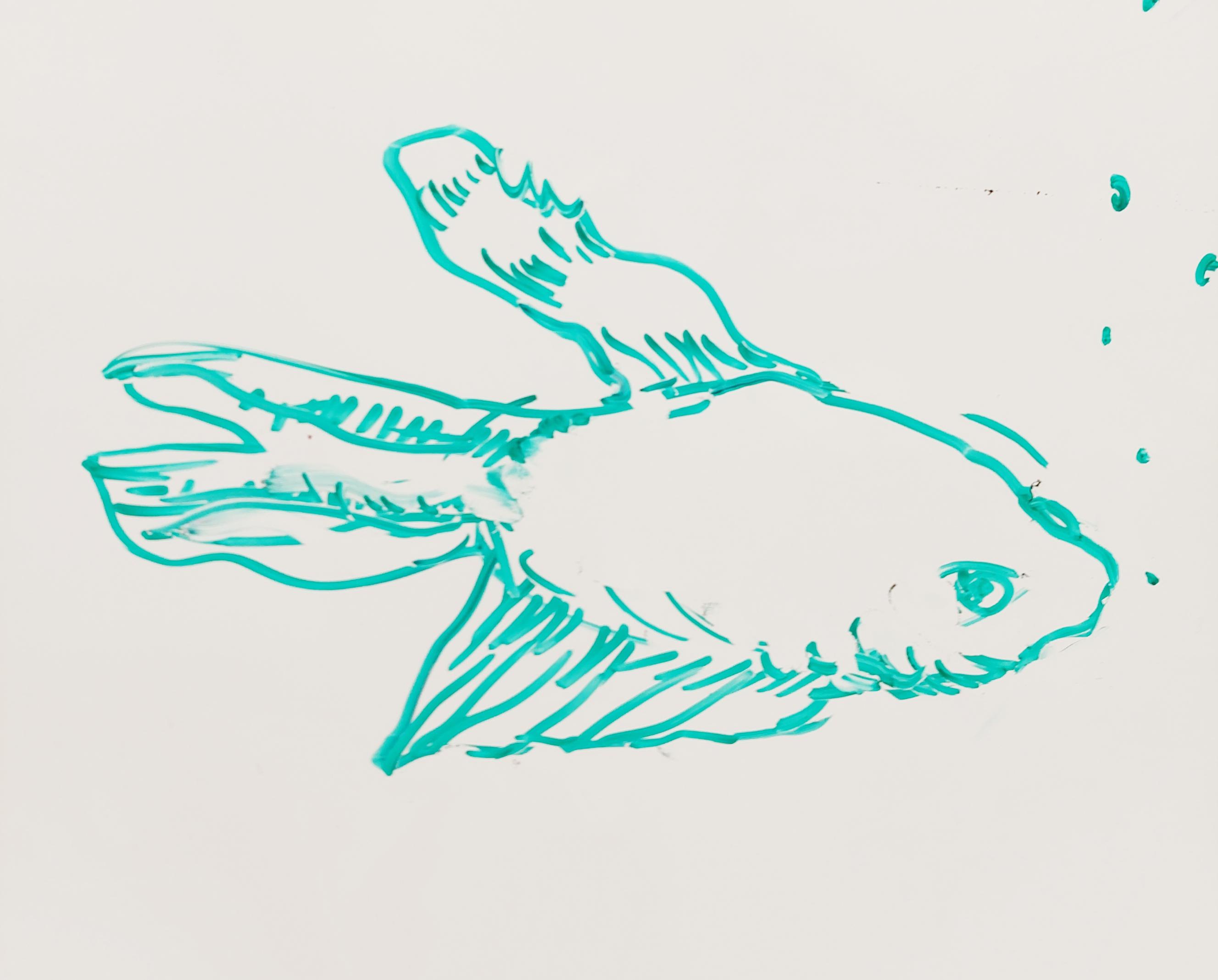 fish-sketch.jpg