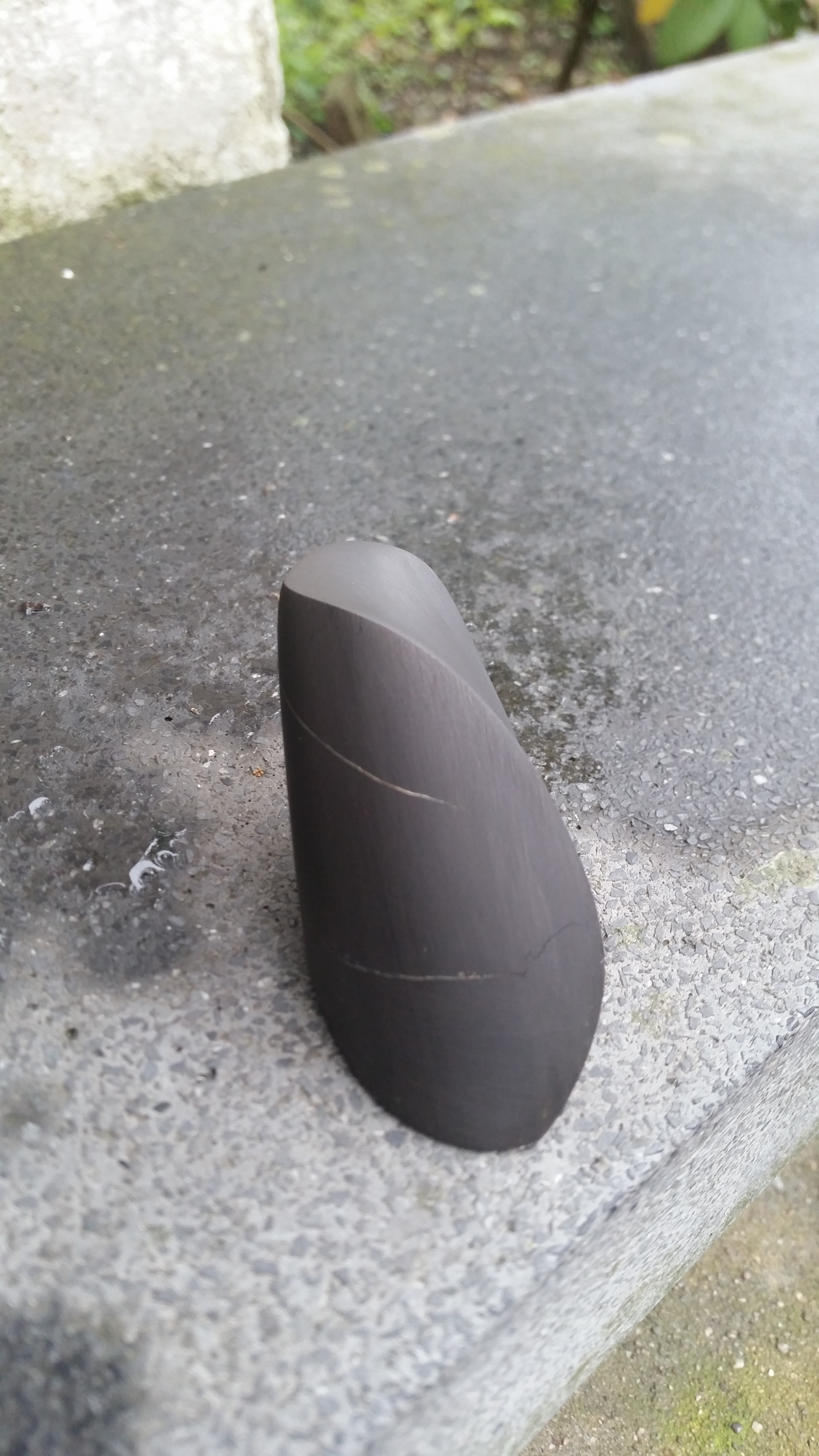 20201003_124343.jpg