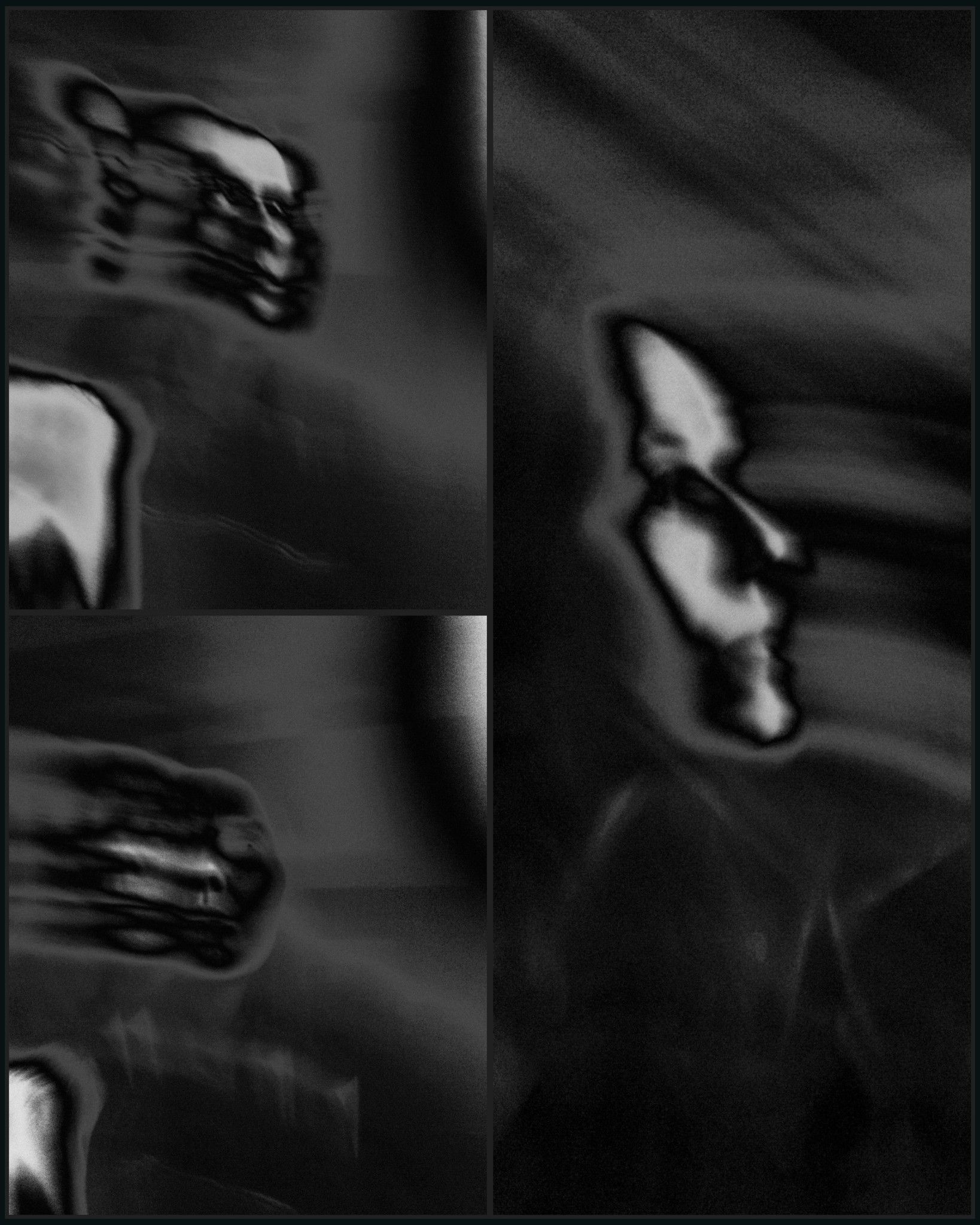 17587821934697589095536874885873.jpg