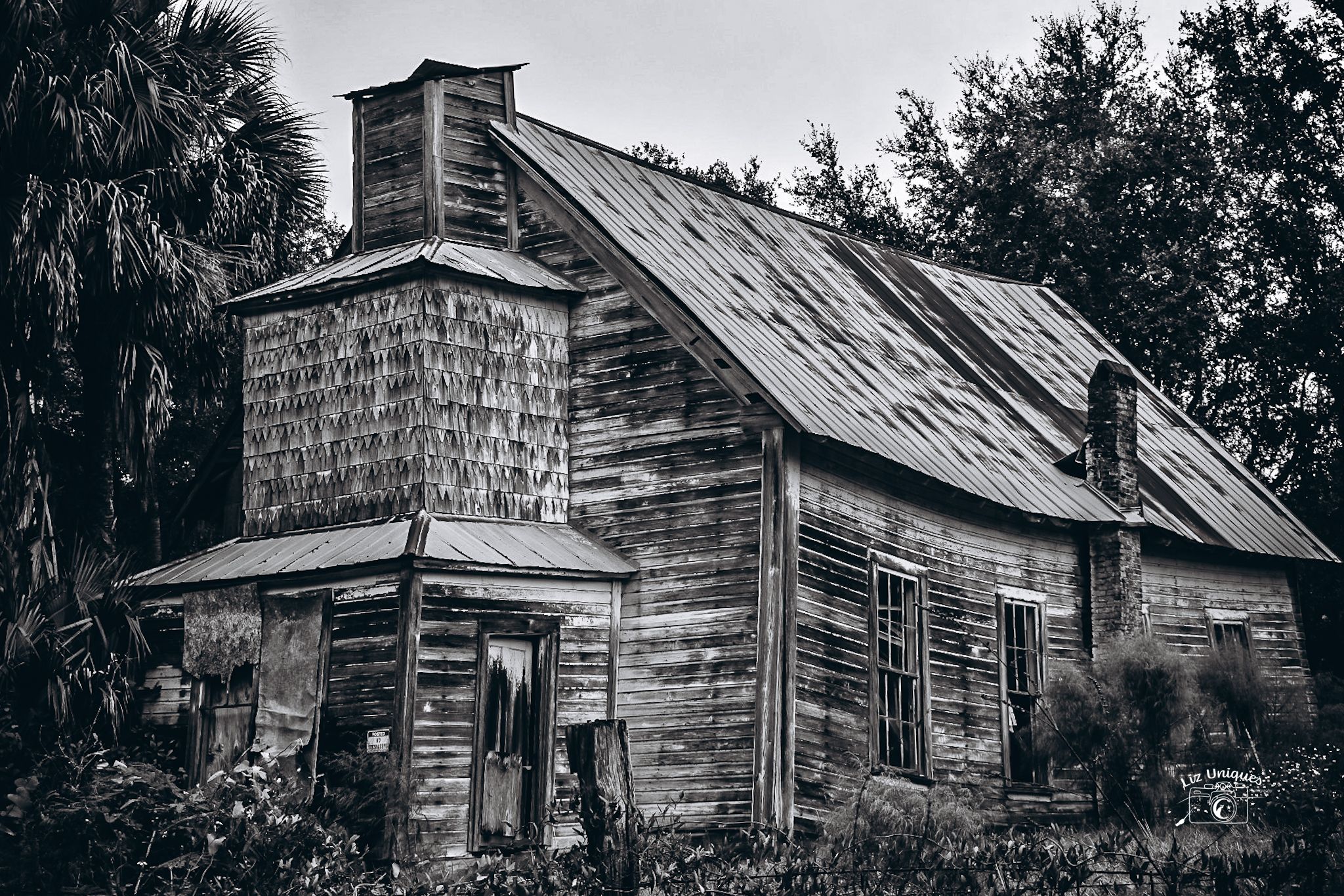 DSC_0074_1 (1).jpg