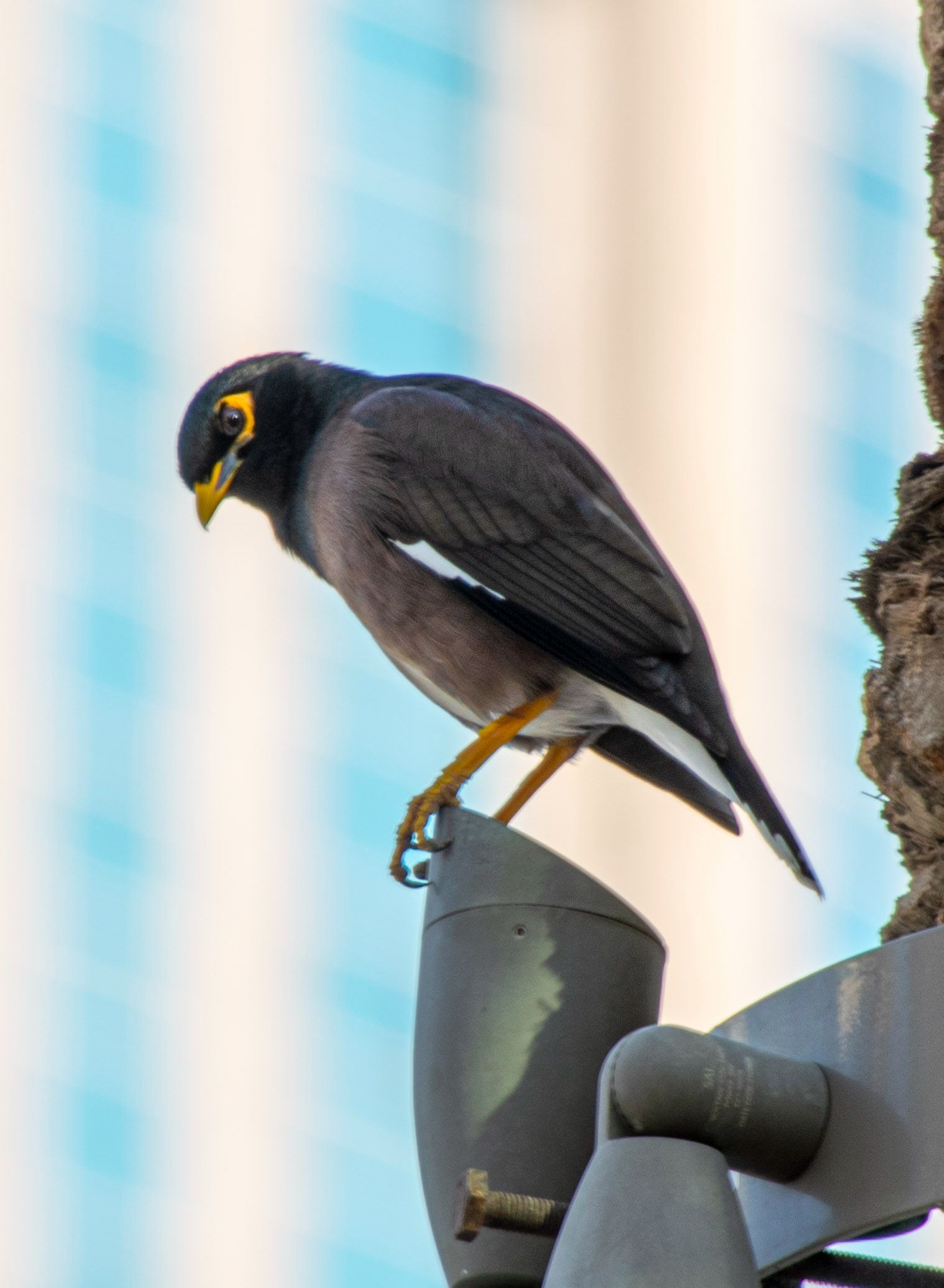 20240622_maria_bird_1.jpg
